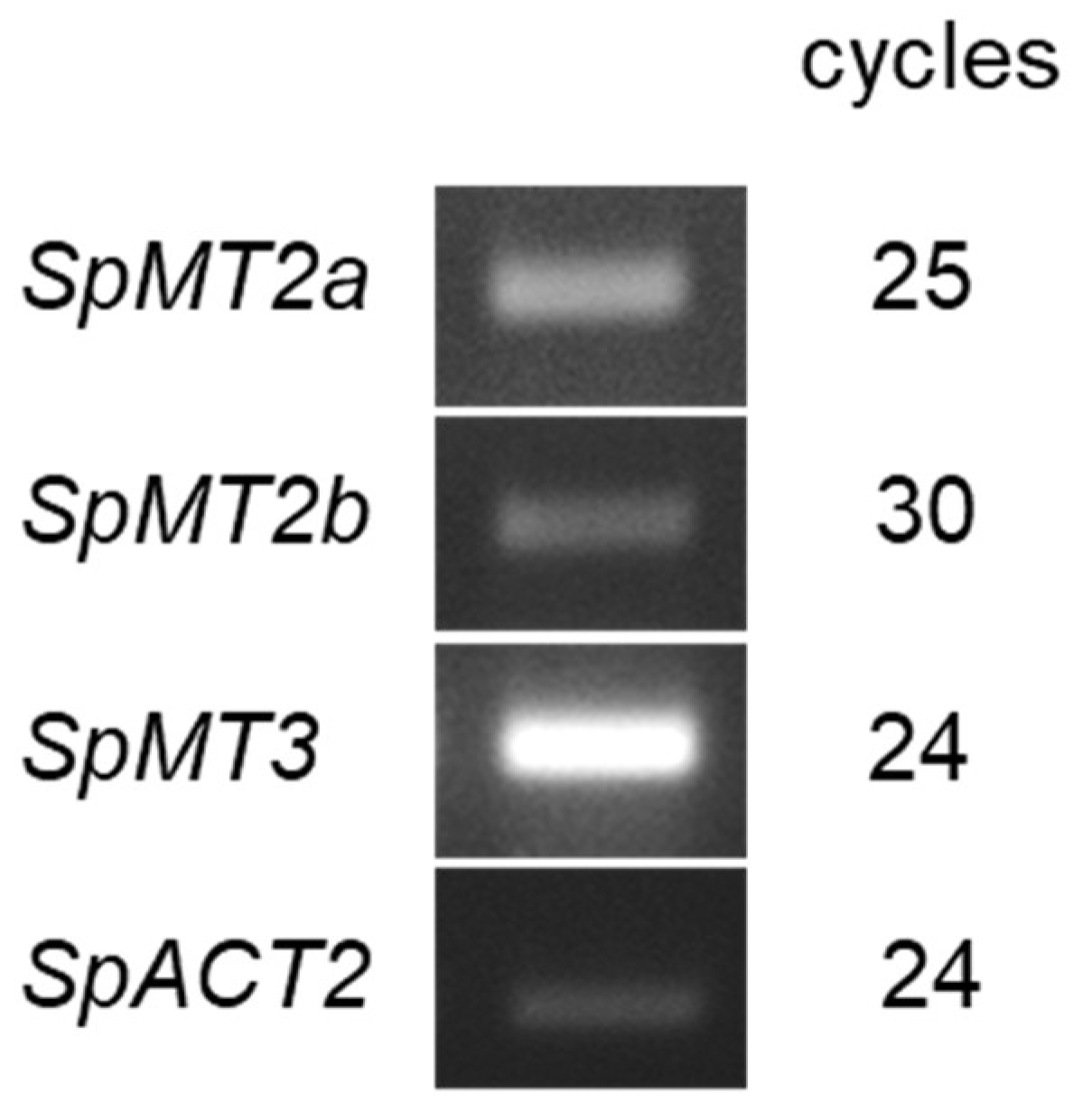 Plants 12 00125 g002