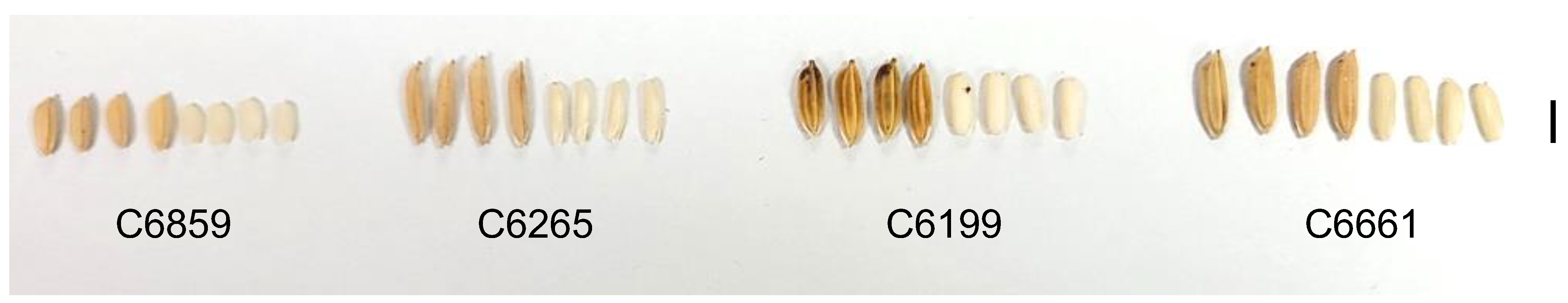 Plants 12 00133 g002