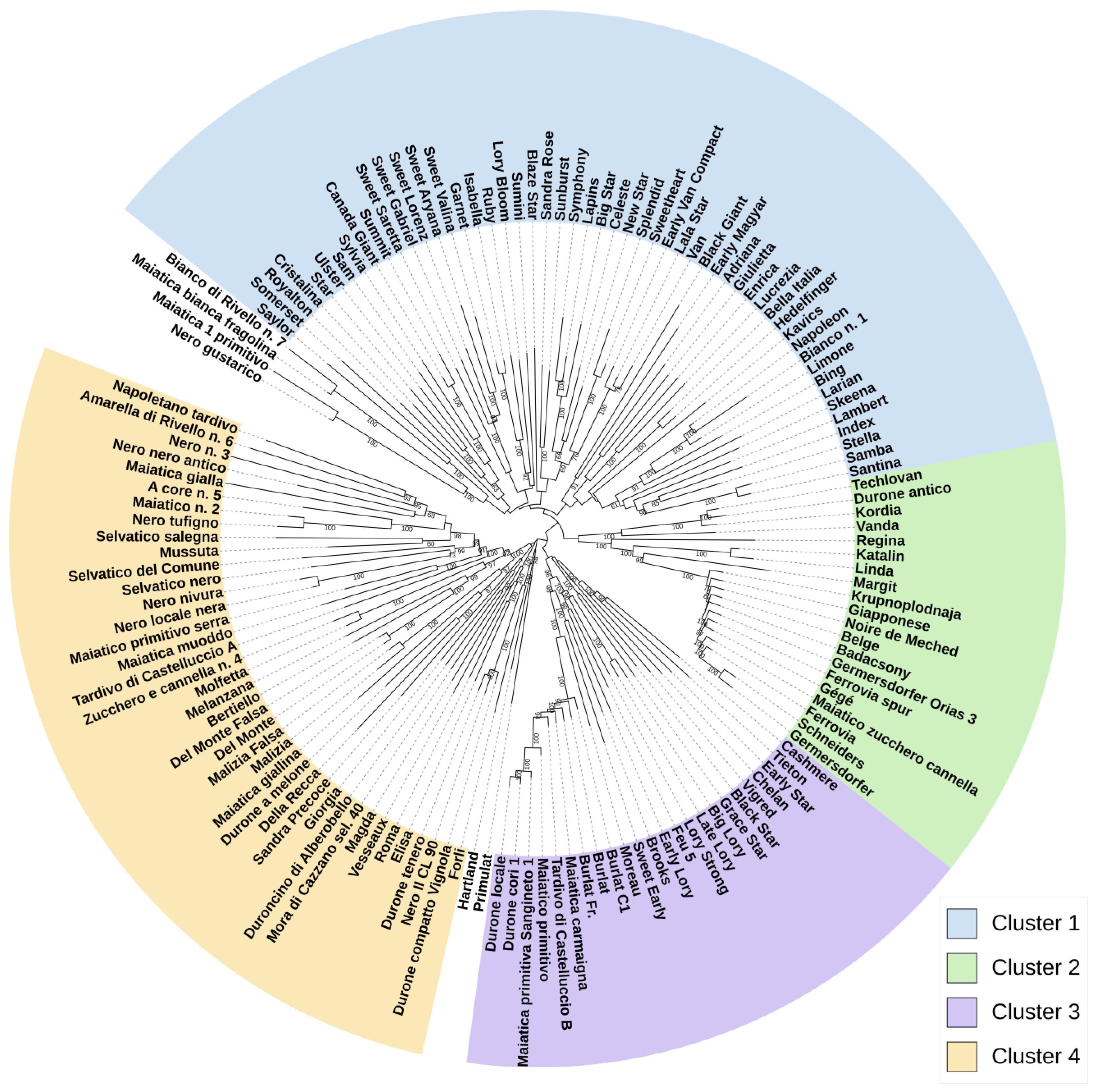 Plants 12 00136 g003 Plants 12 00136 g003