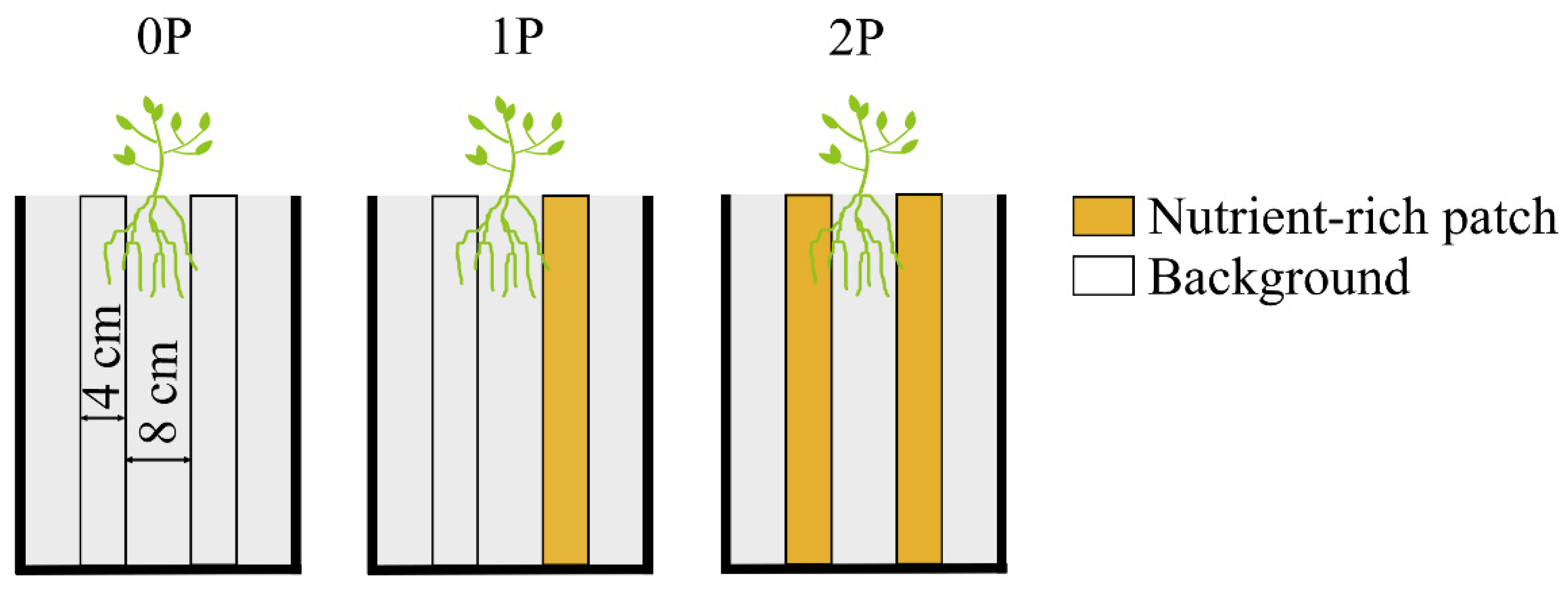Plants 12 00139 g007