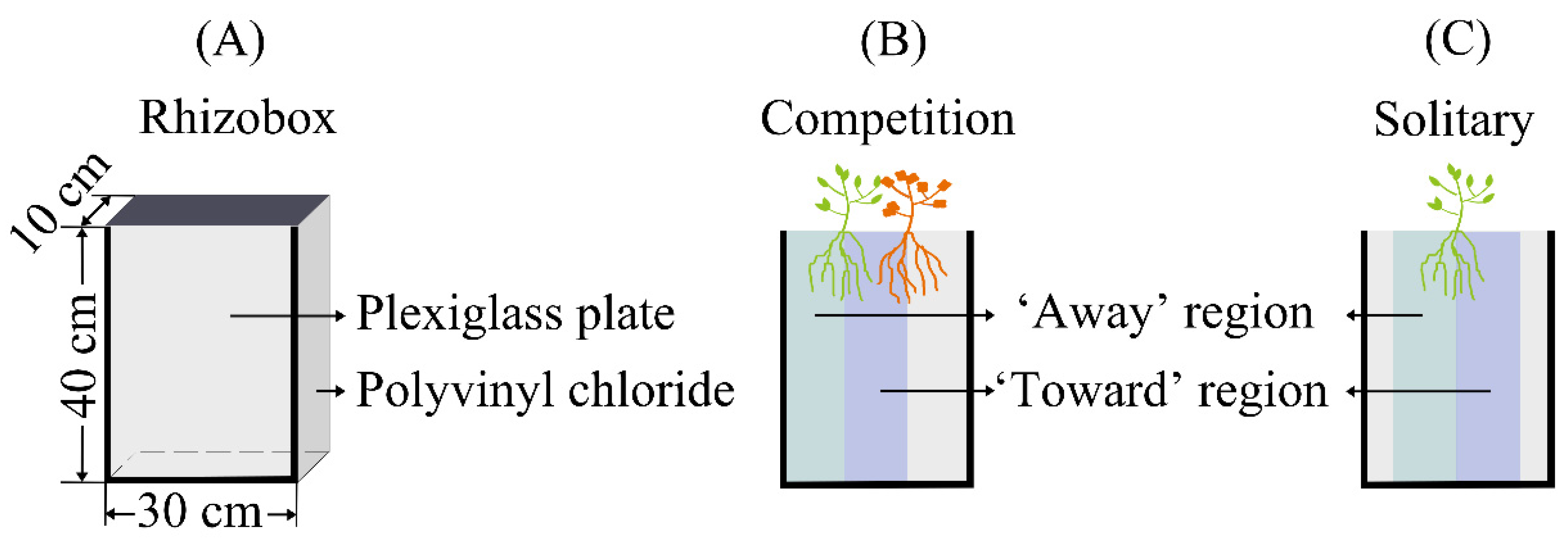 Plants 12 00139 g008