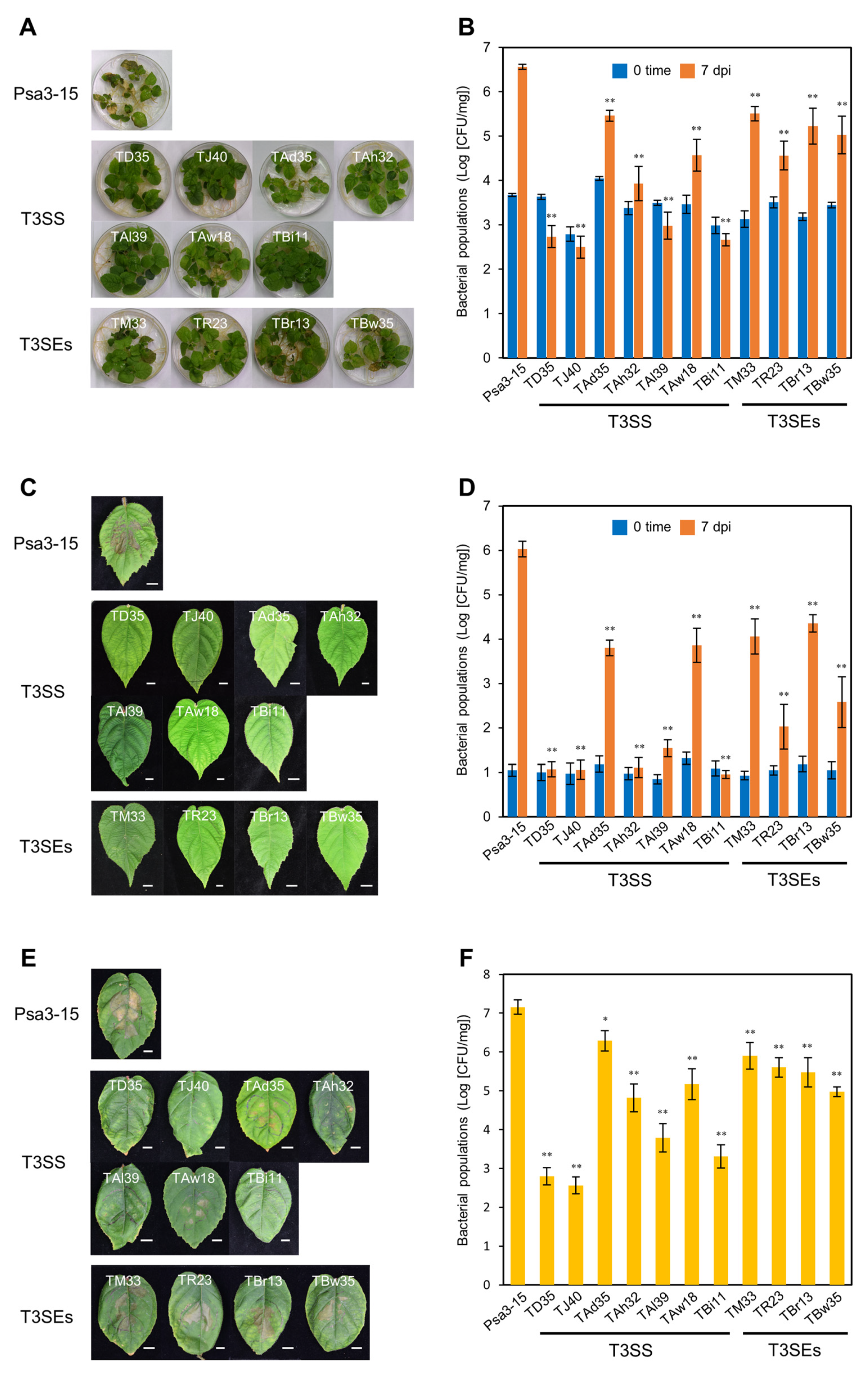 Plants 12 00141 g002