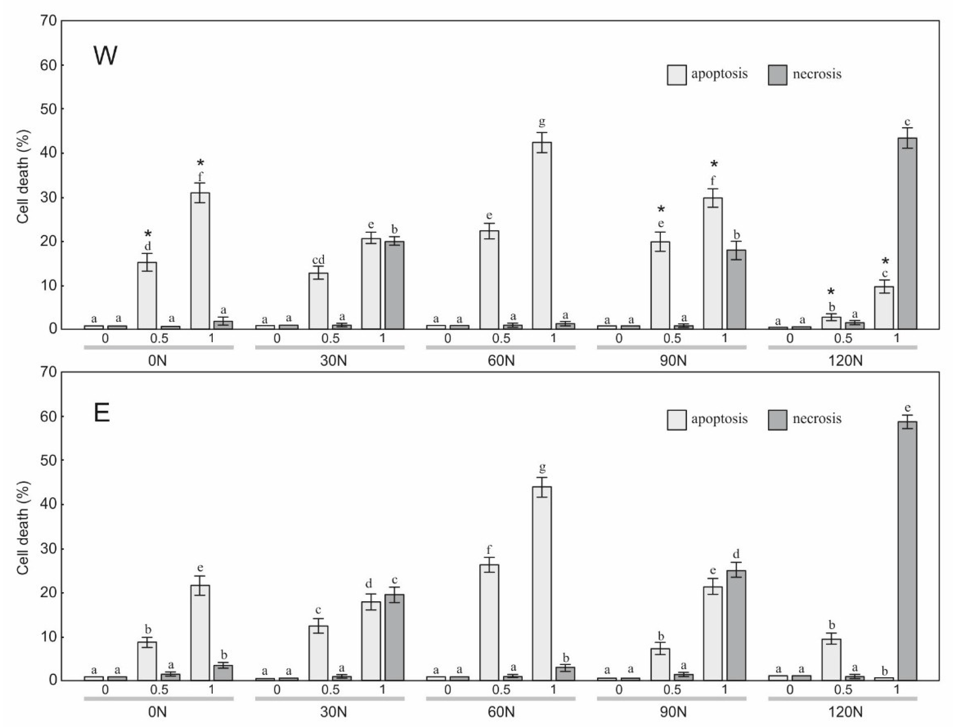 Plants 12 00142 g005 Plants 12 00142 g005