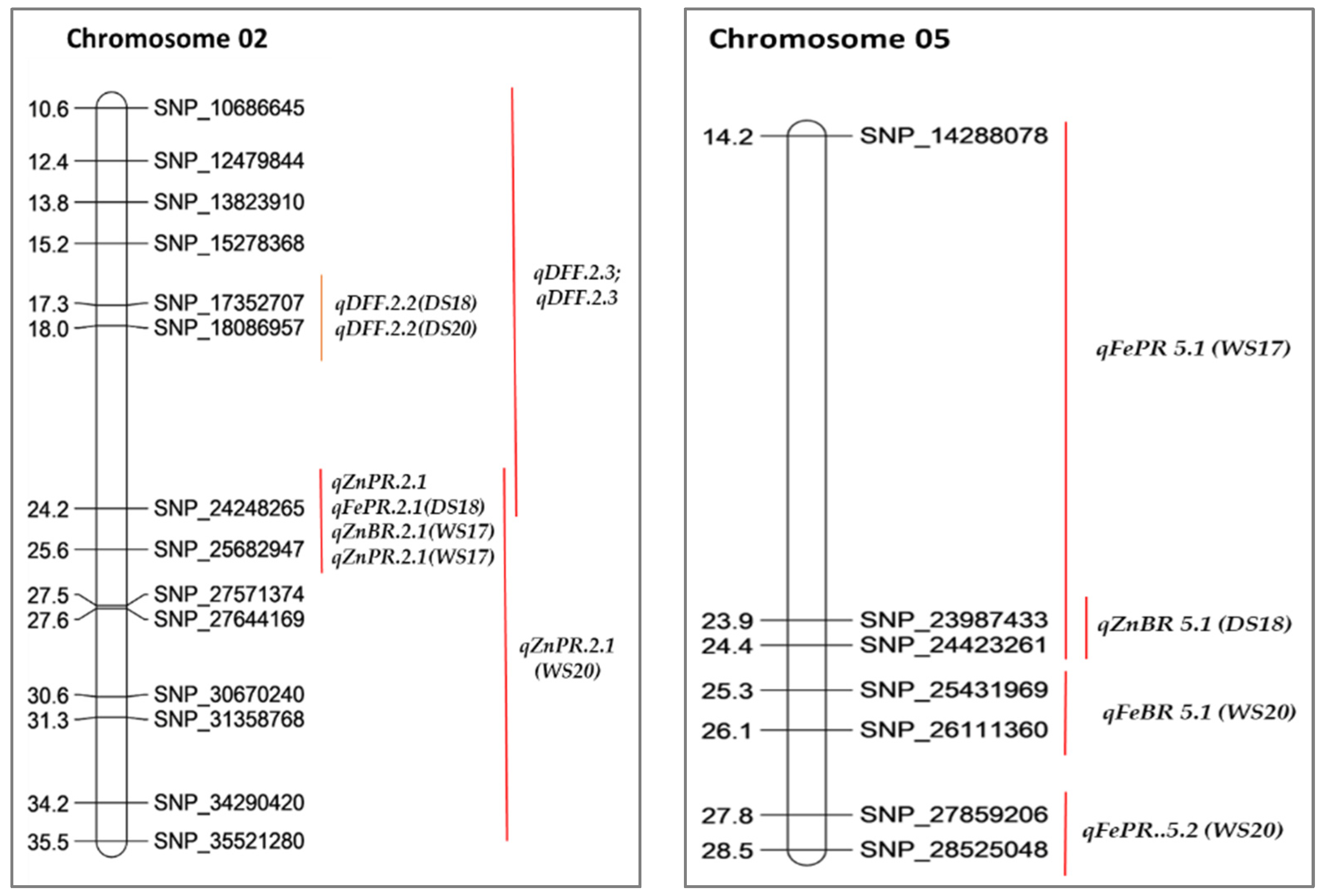 Plants 12 00144 g004a Plants 12 00144 g004a