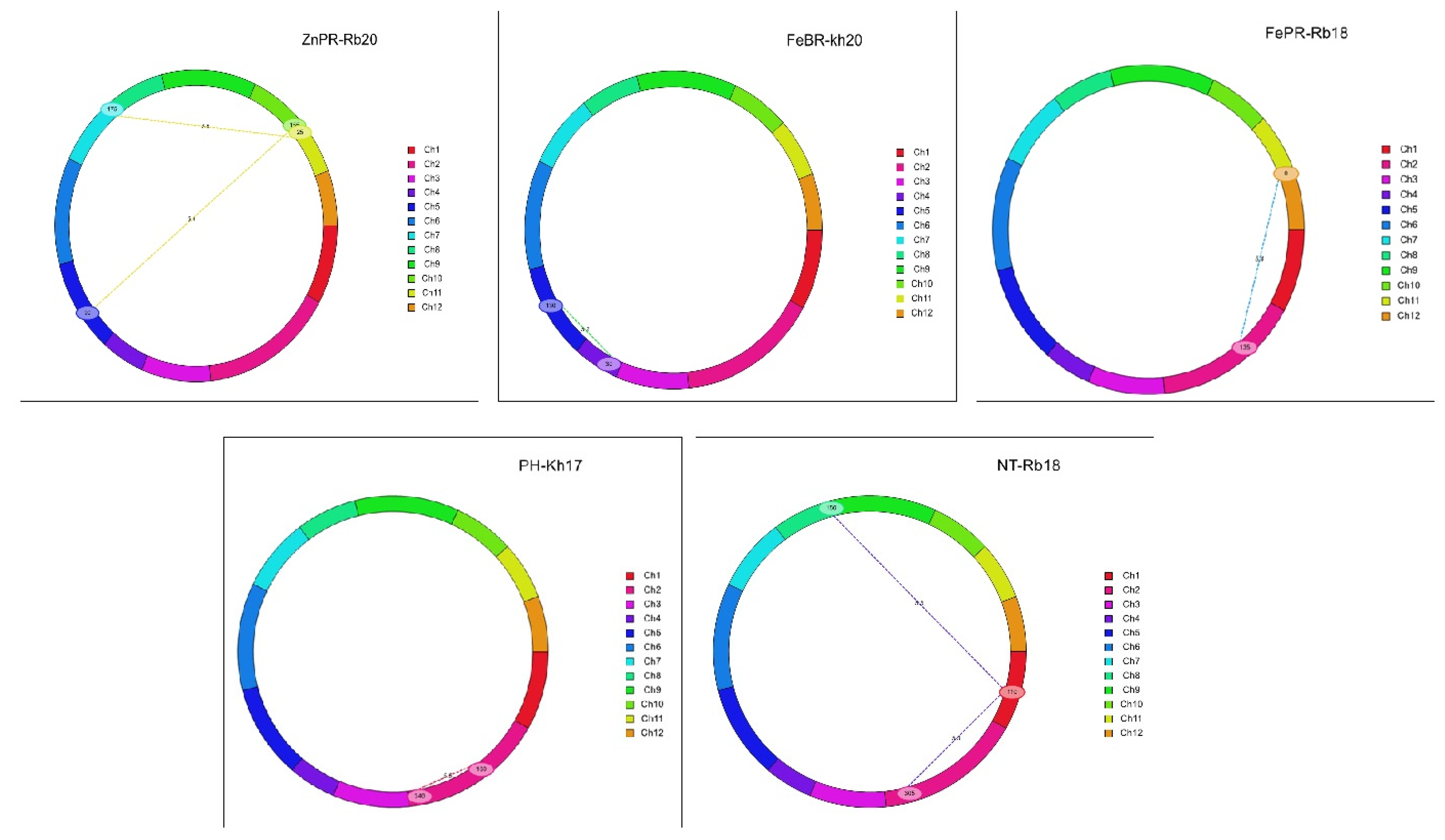 Plants 12 00144 g005 Plants 12 00144 g005