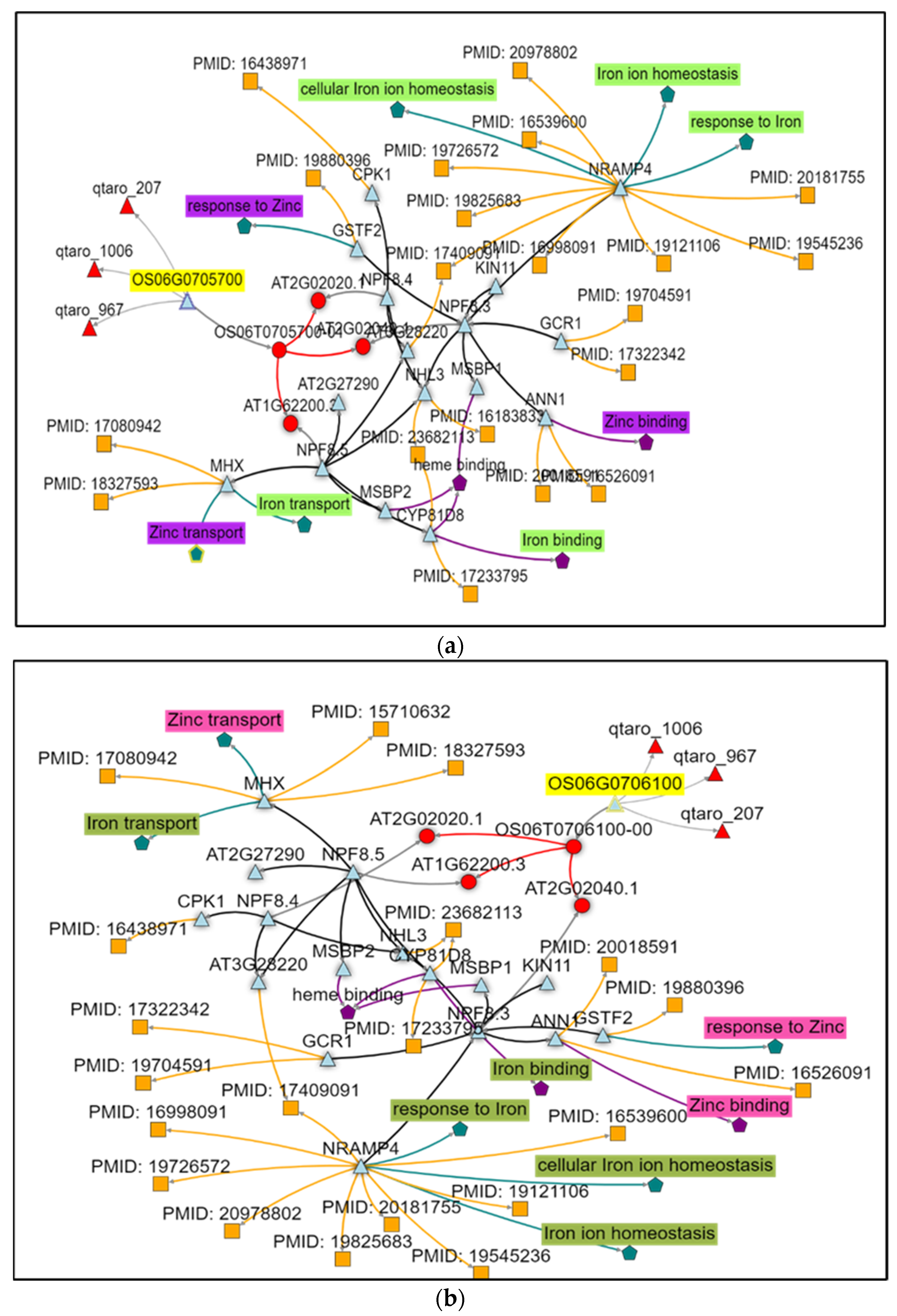 Plants 12 00144 g006 Plants 12 00144 g006