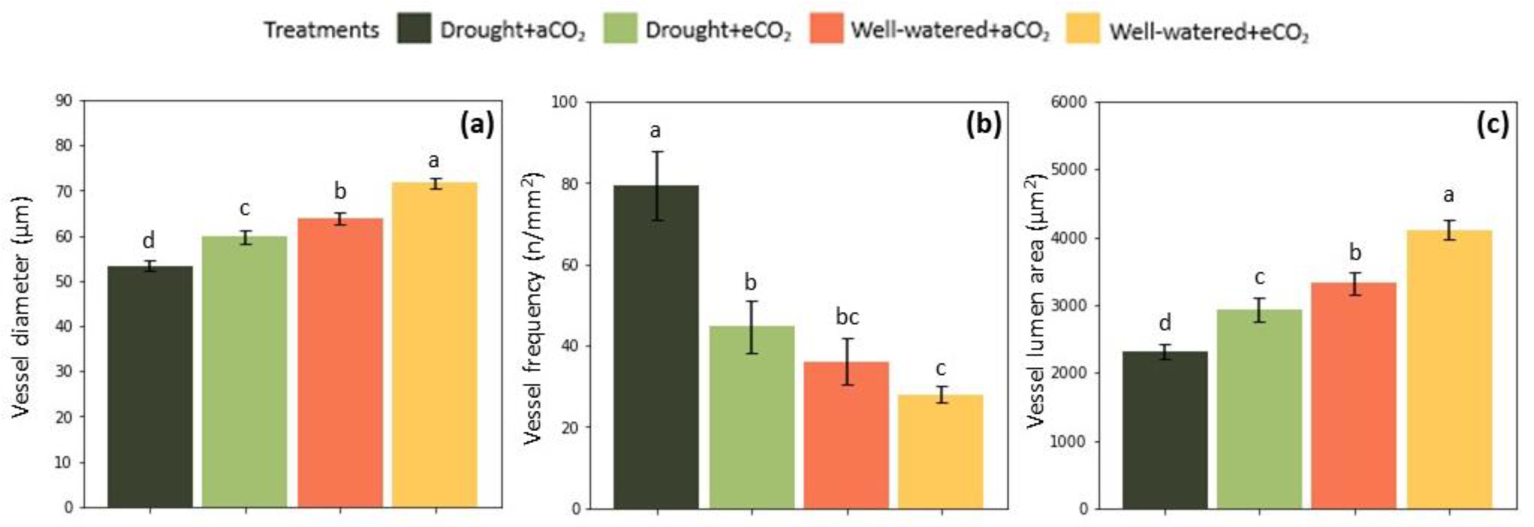 Plants 12 00148 g007