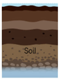 Plants 12 00149 i001