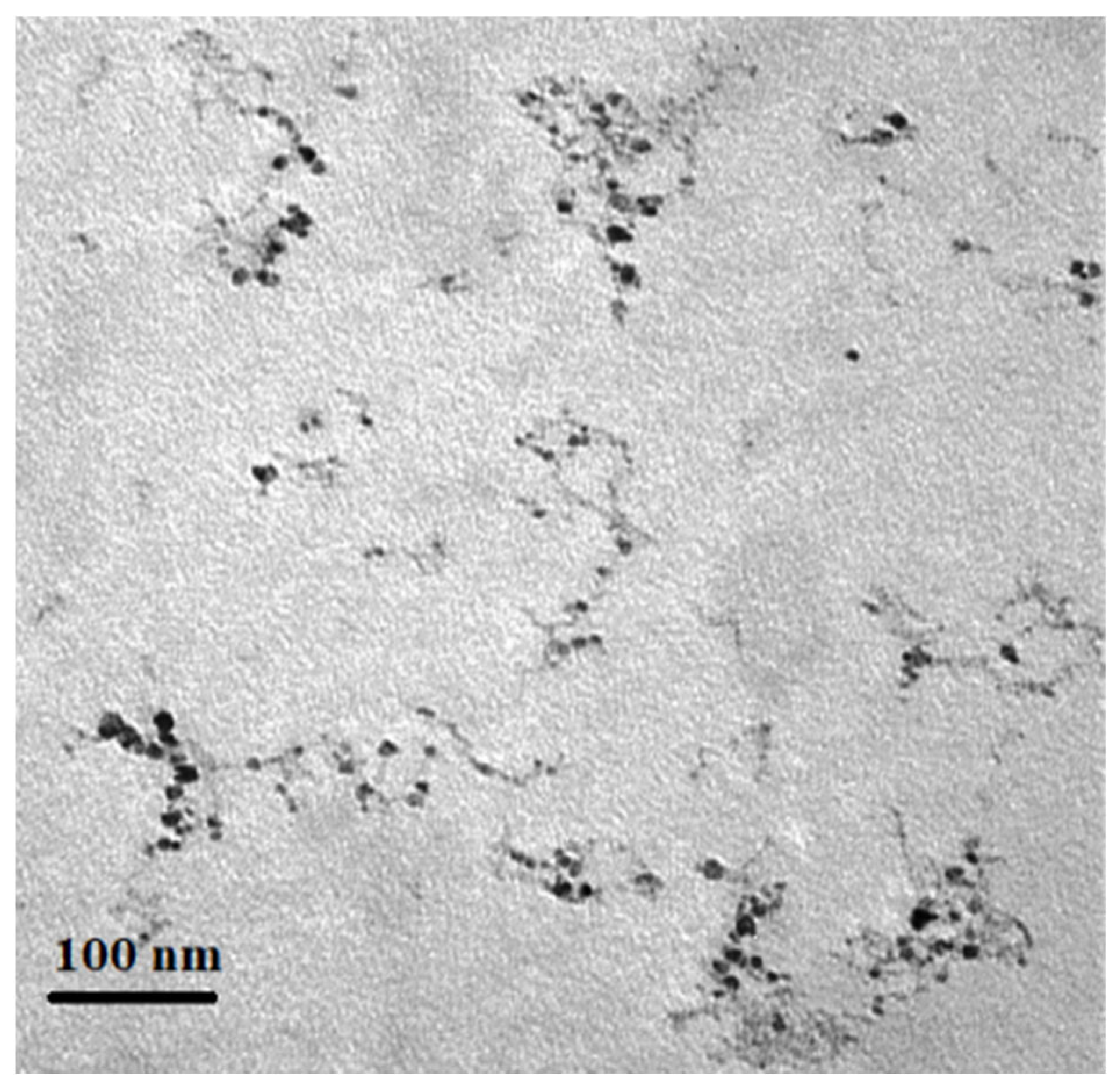 Plants 12 00151 g008 Plants 12 00151 g008