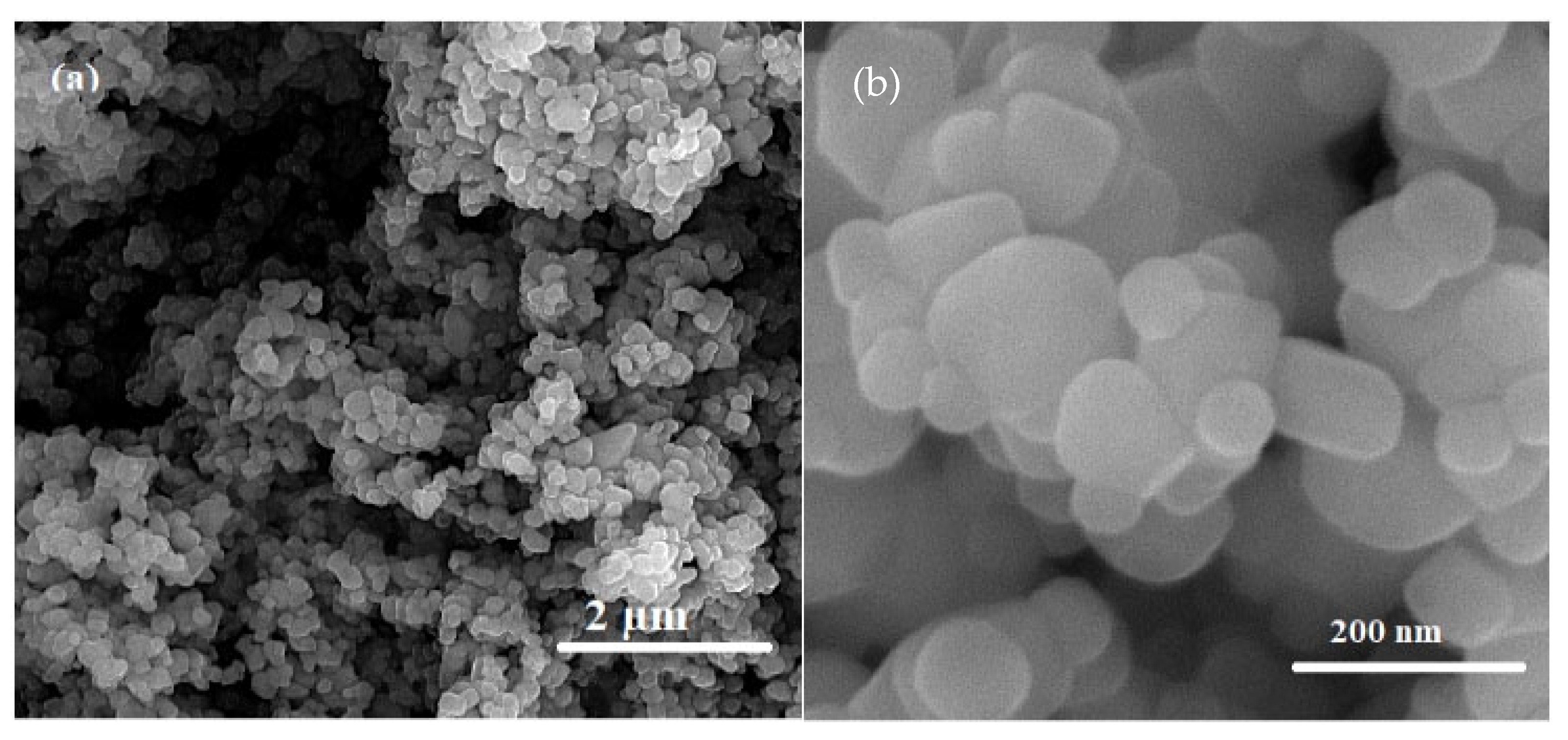 Plants 12 00151 g011 Plants 12 00151 g011