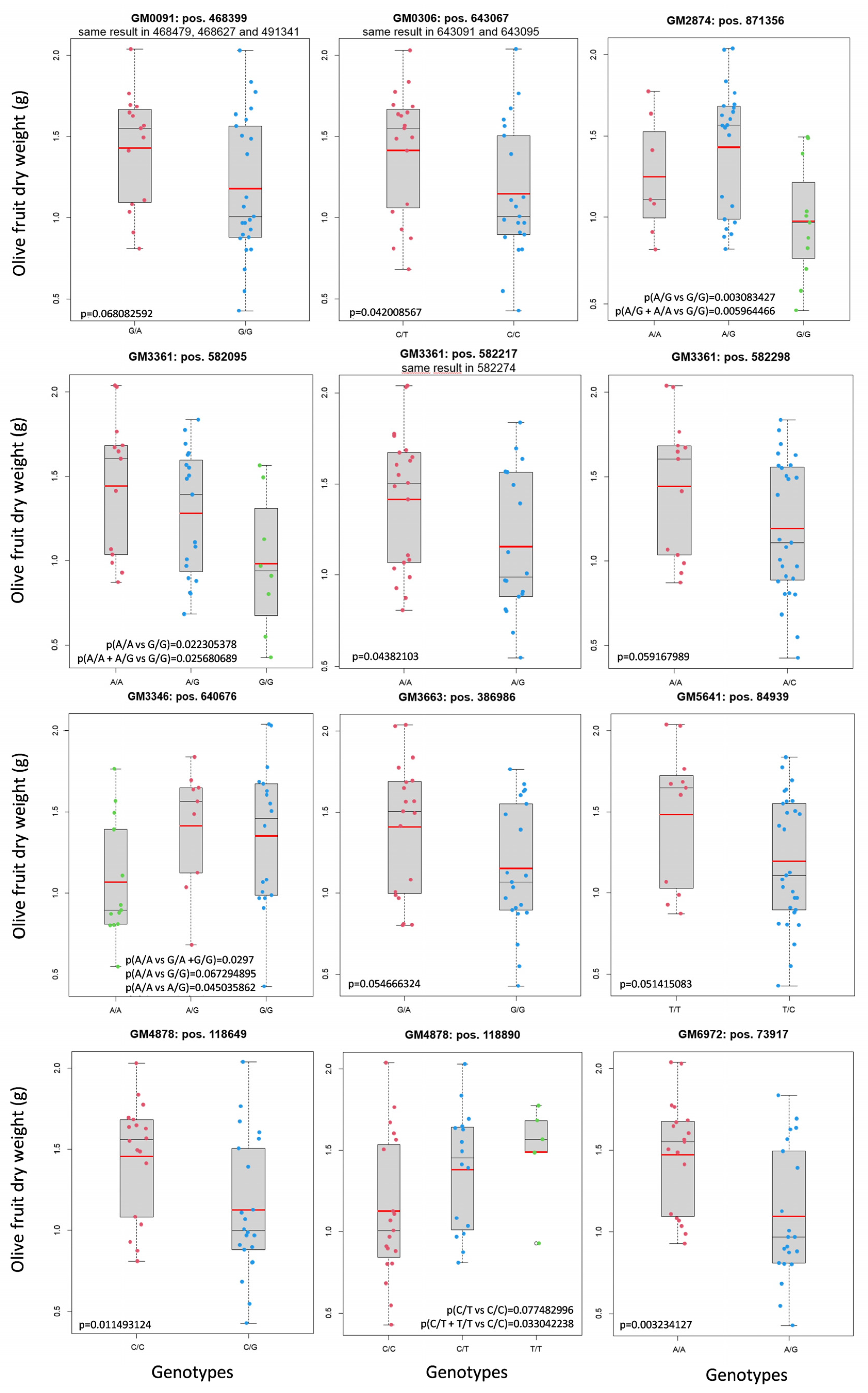 Plants 12 00155 g002 Plants 12 00155 g002