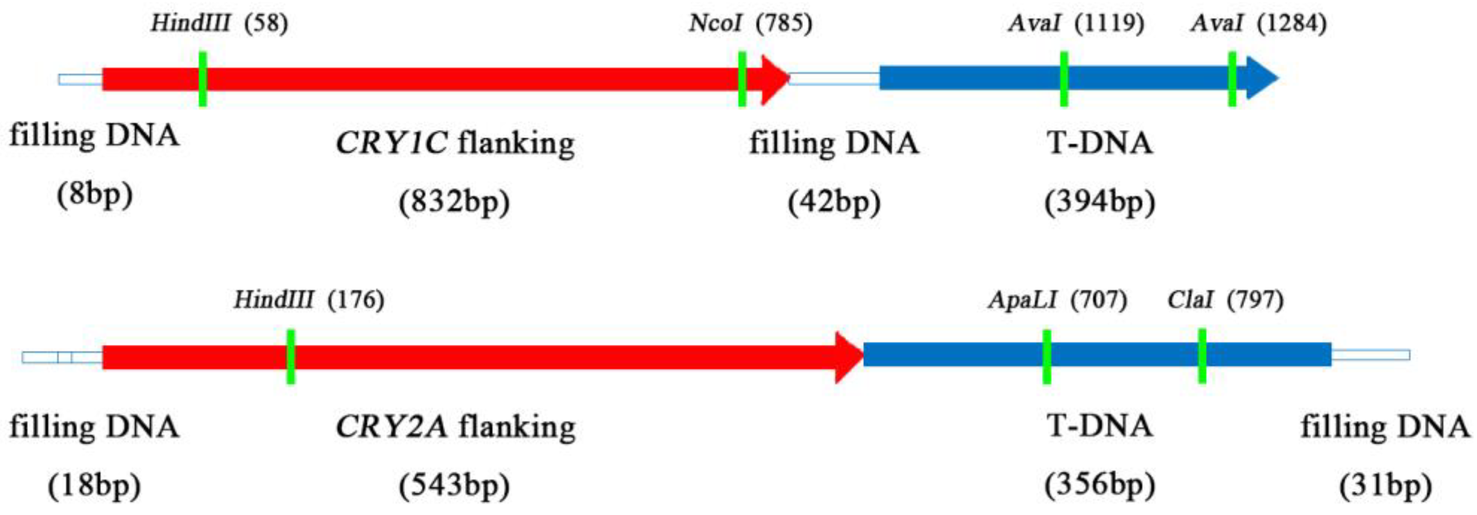 Plants 12 00156 g002
