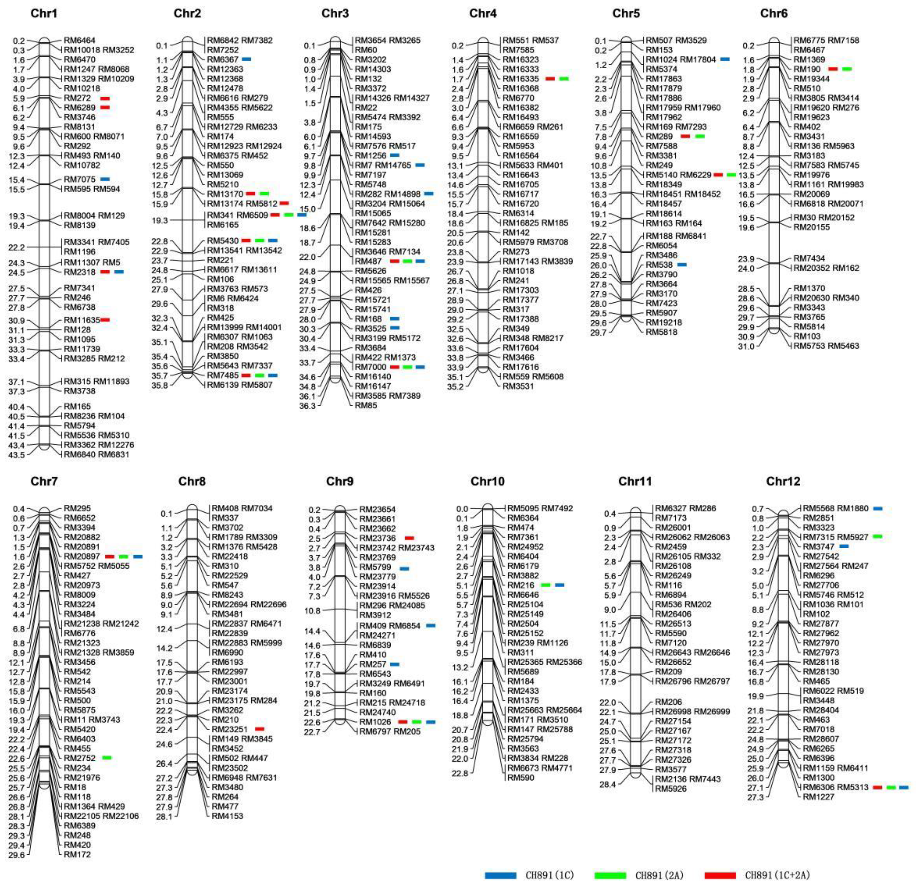 Plants 12 00156 g005