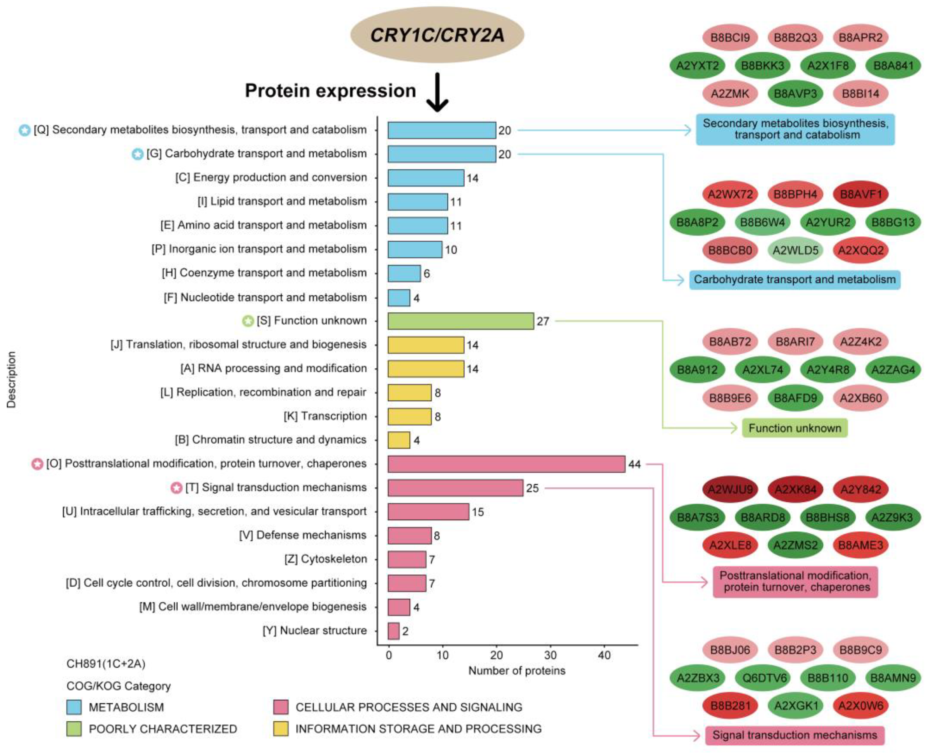 Plants 12 00156 g007