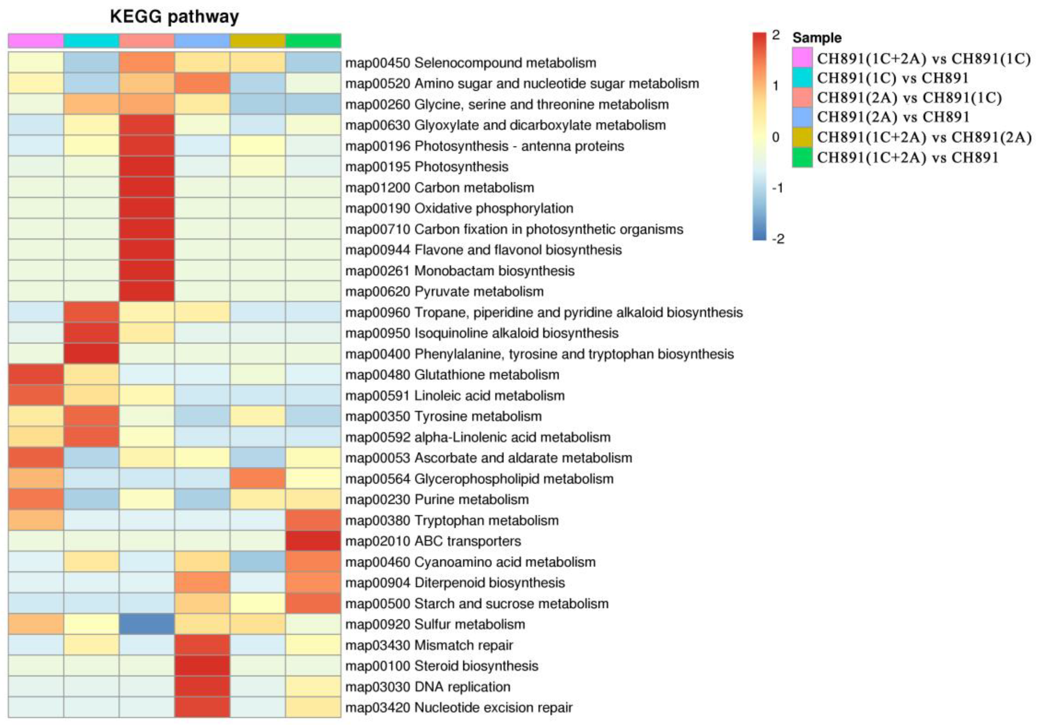 Plants 12 00156 g010
