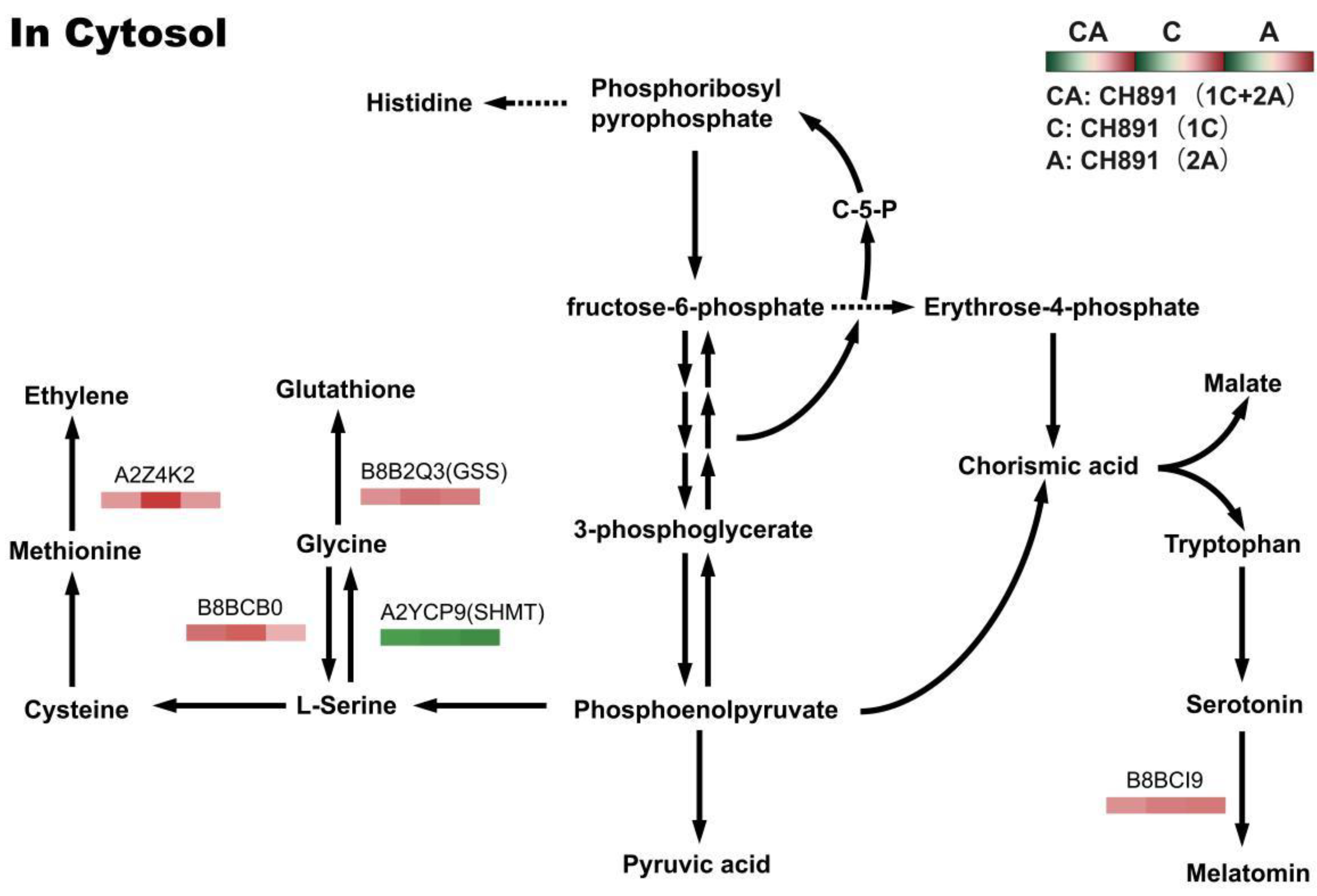 Plants 12 00156 g011