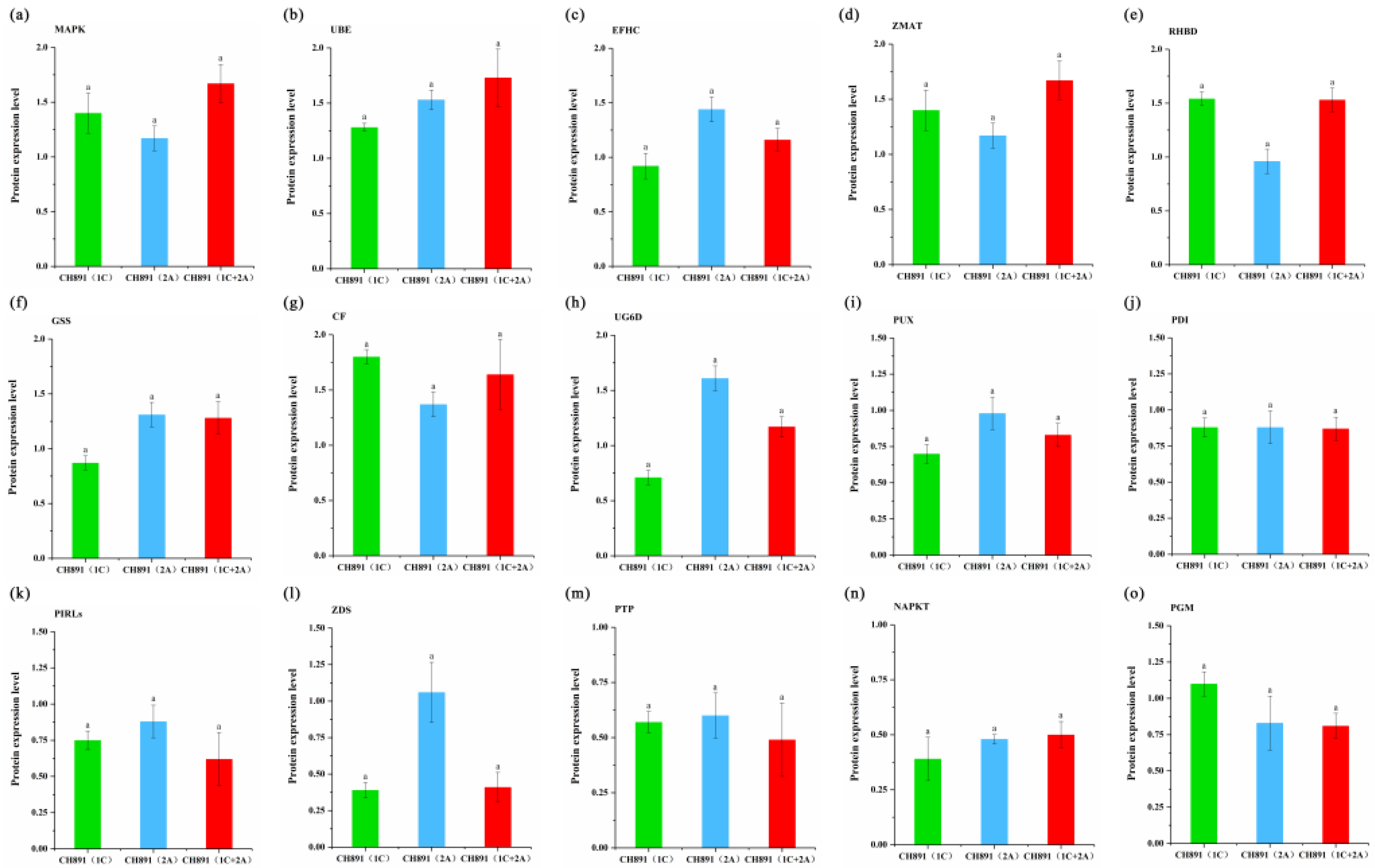 Plants 12 00156 g012