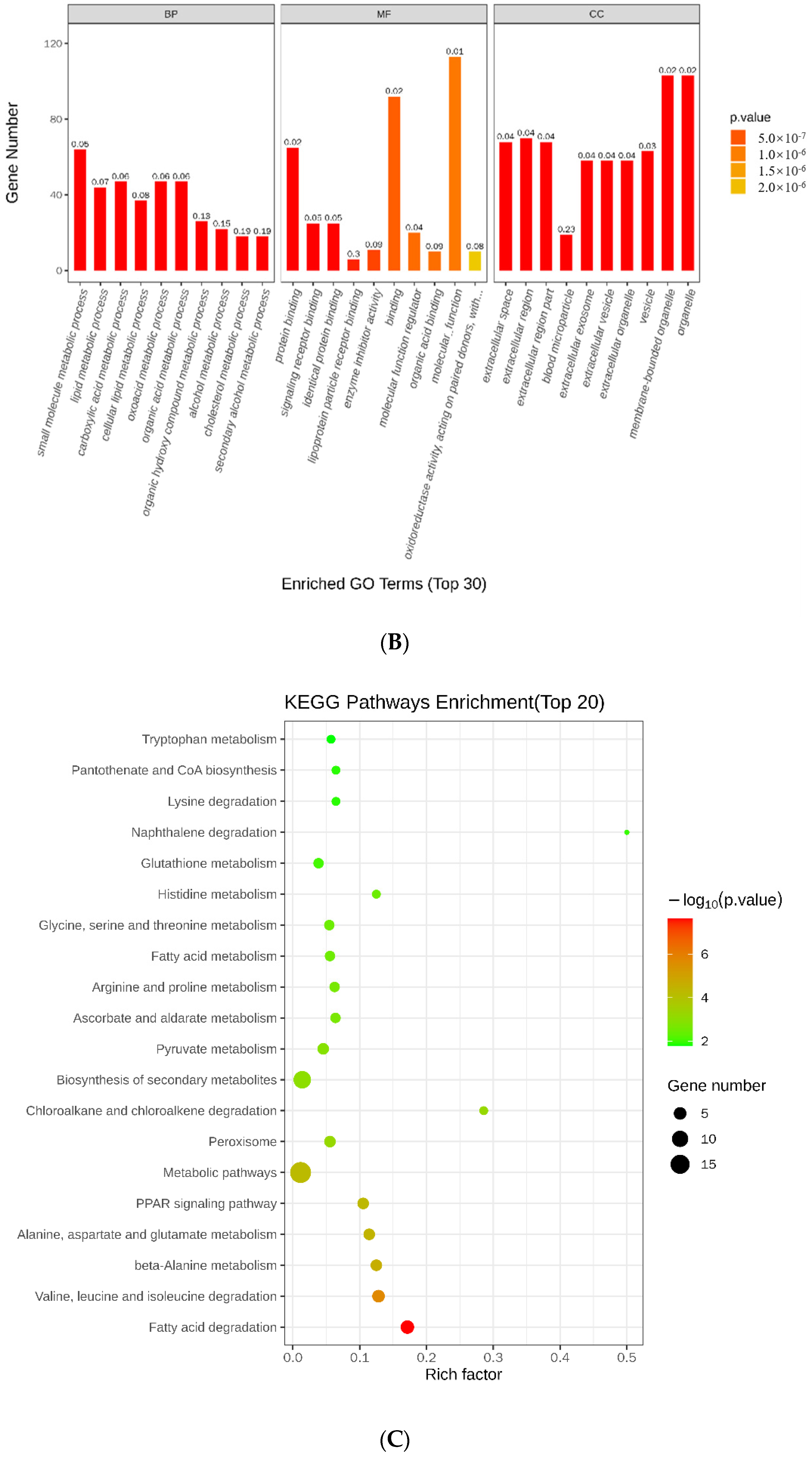 Plants 12 00157 g003b