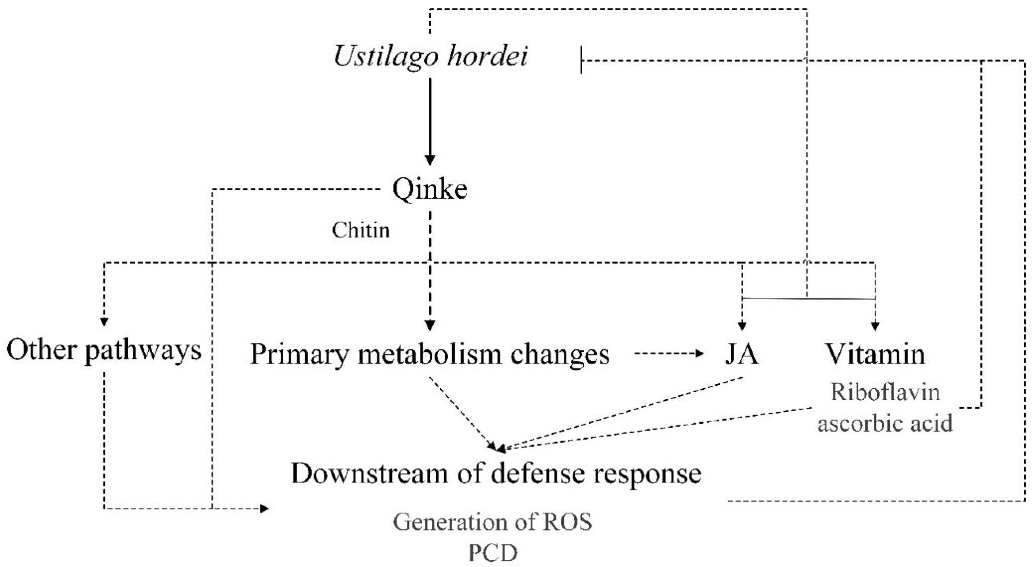 Plants 12 00157 g004
