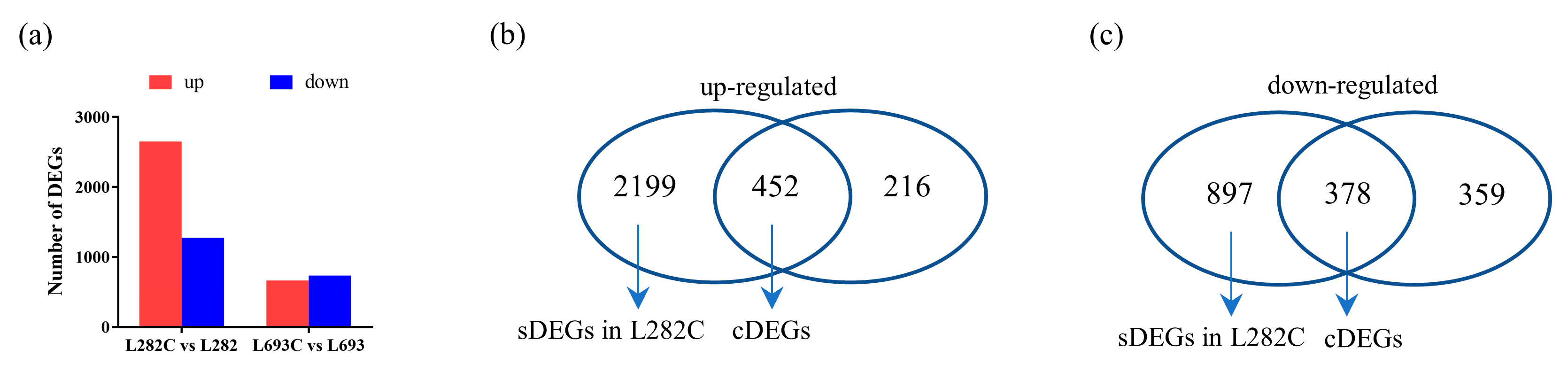 Plants 12 00159 g003