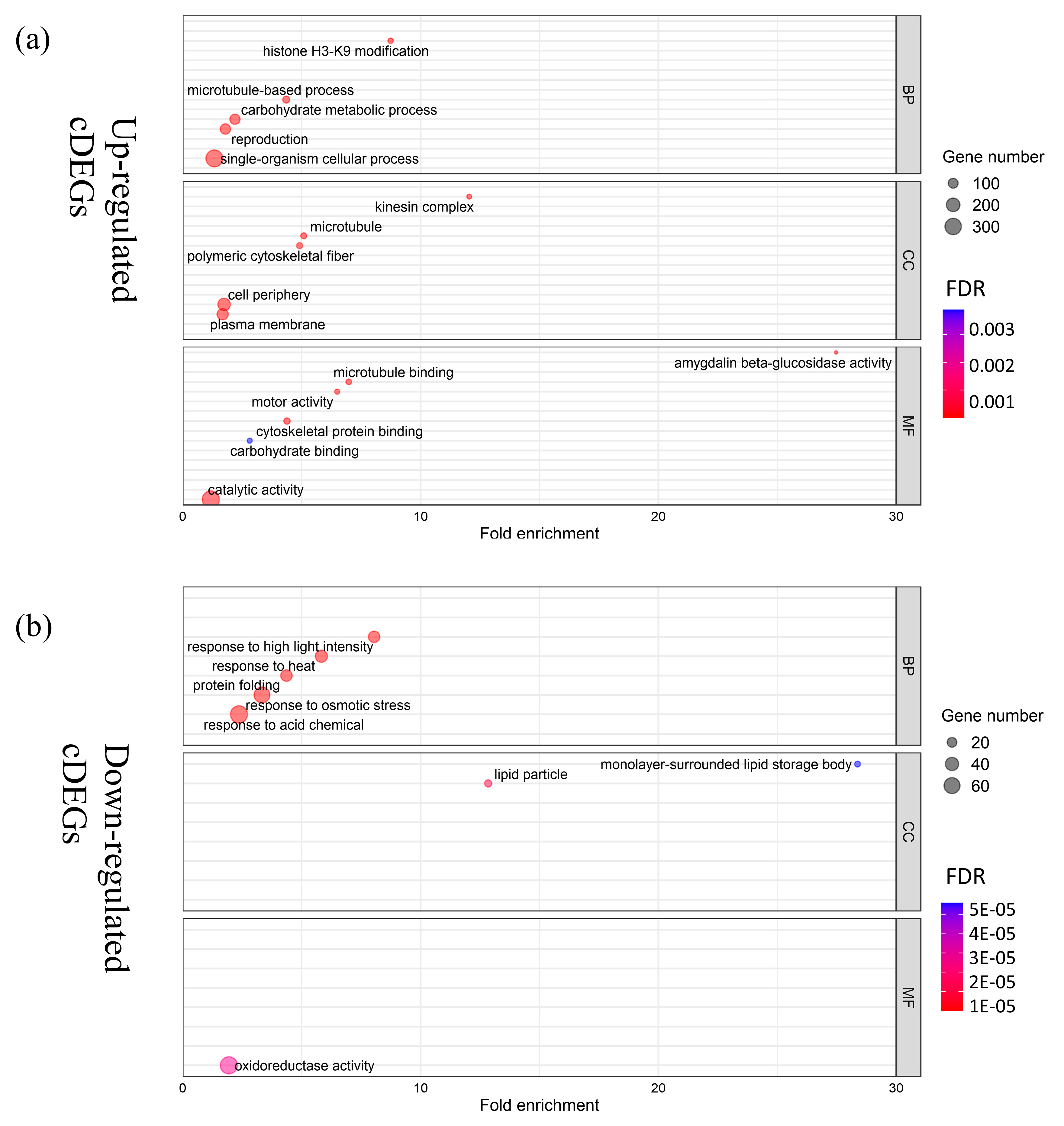 Plants 12 00159 g004