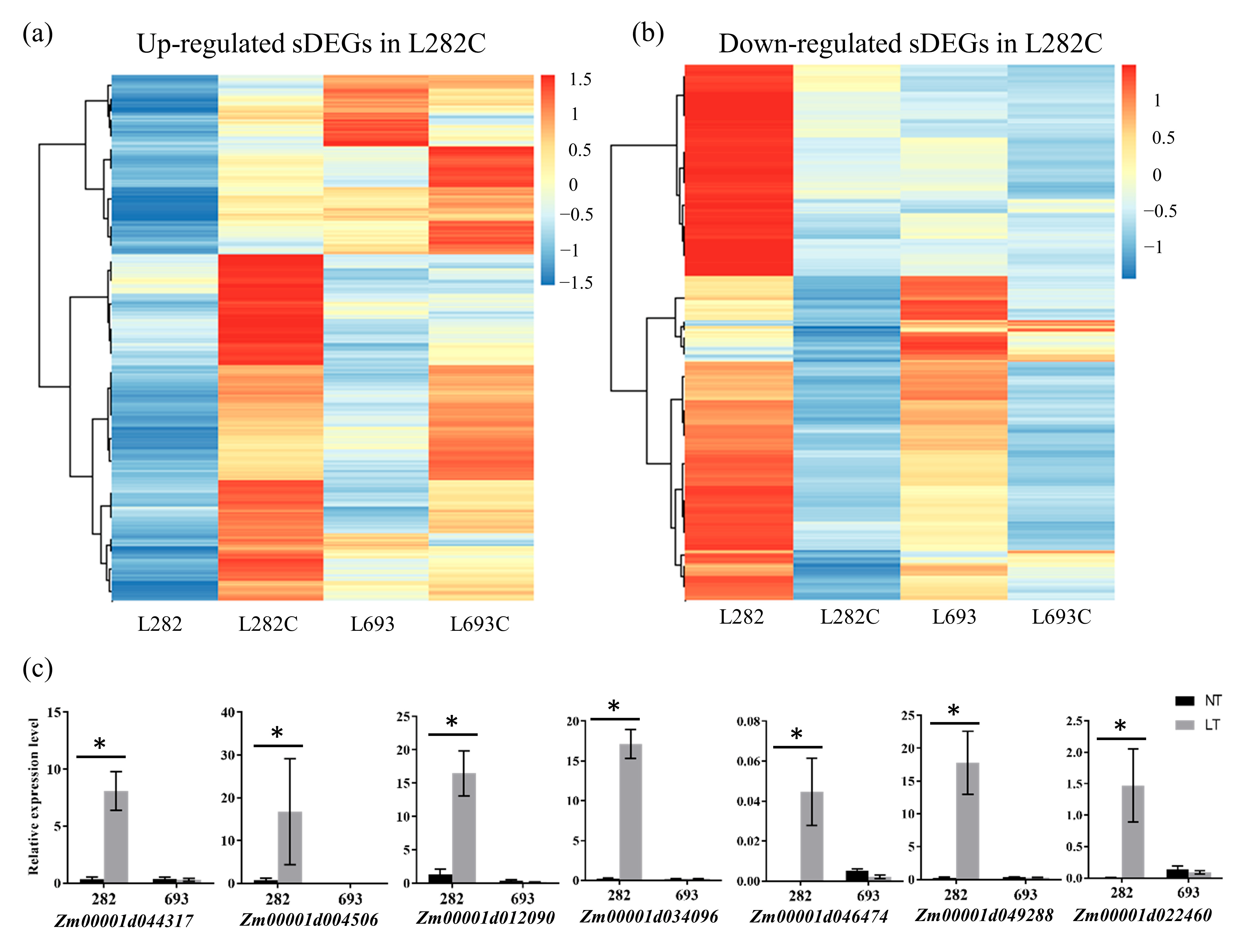 Plants 12 00159 g005