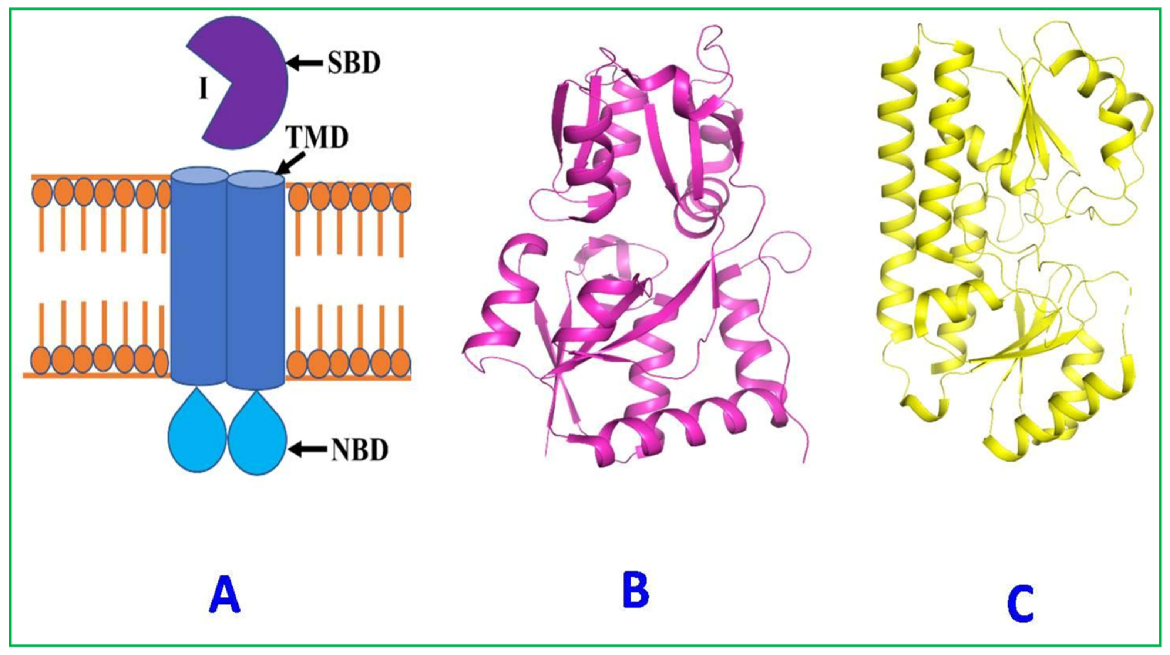 Plants 12 00160 g007 Plants 12 00160 g007