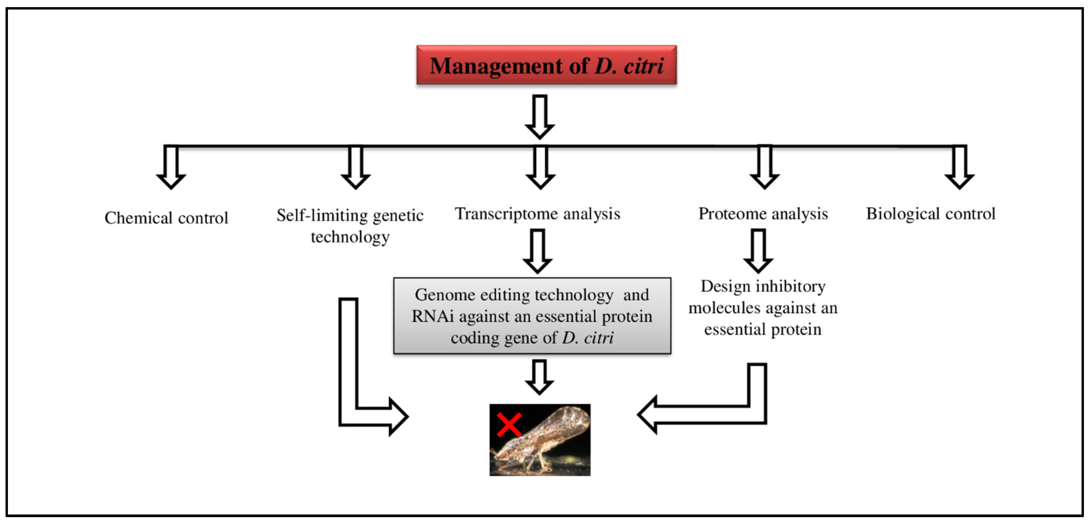Plants 12 00160 g011 Plants 12 00160 g011