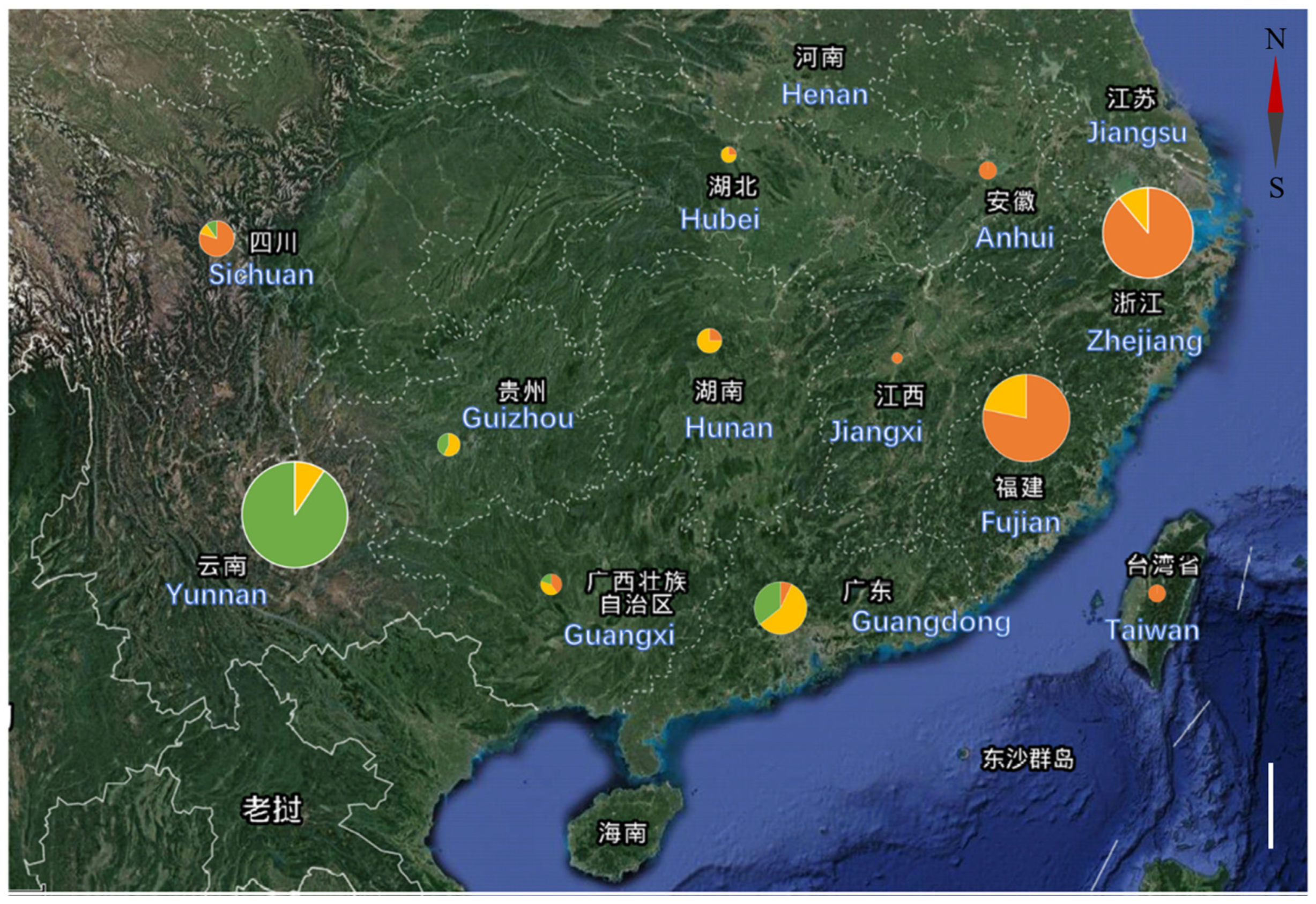 Plants 12 00162 g001