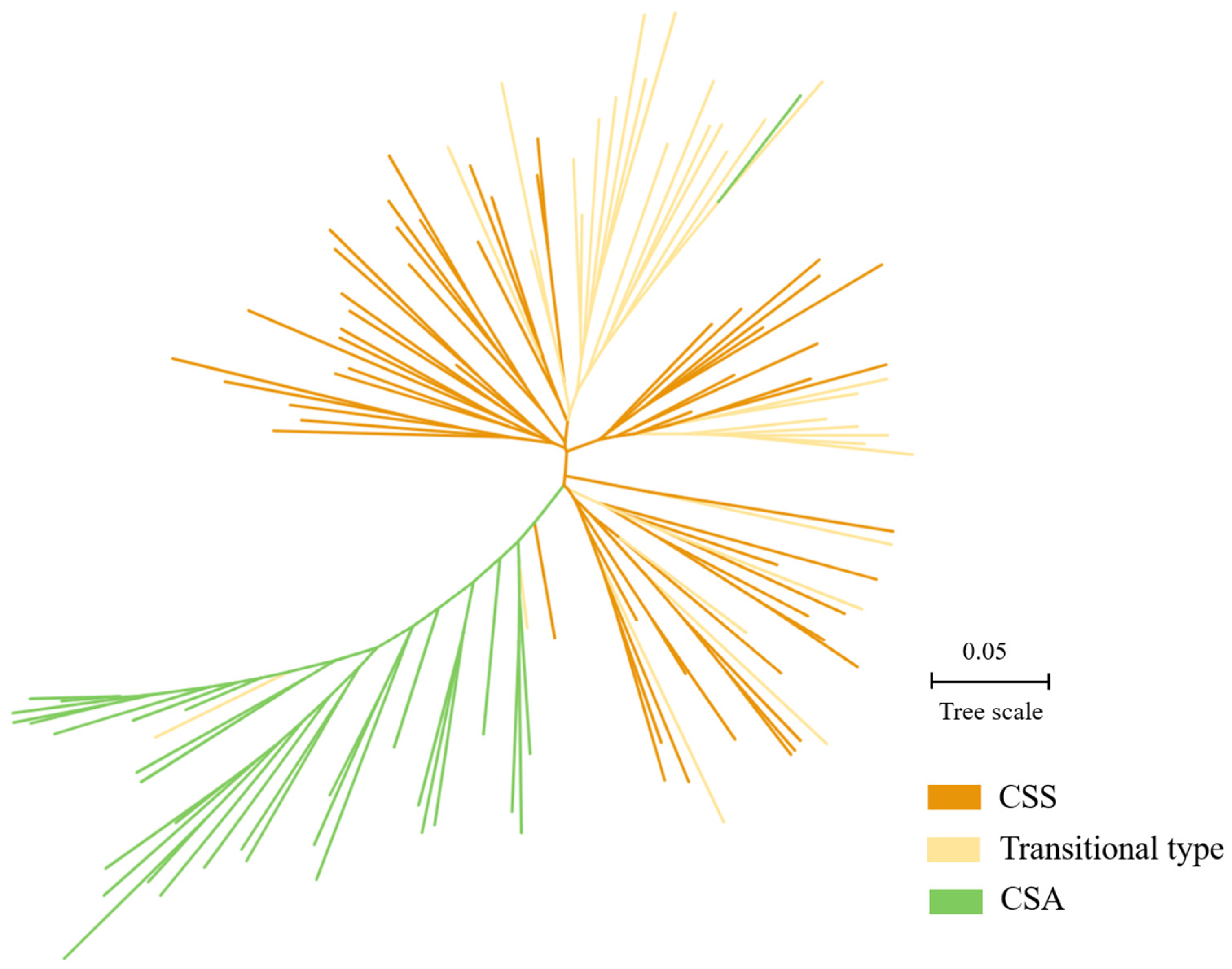 Plants 12 00162 g005