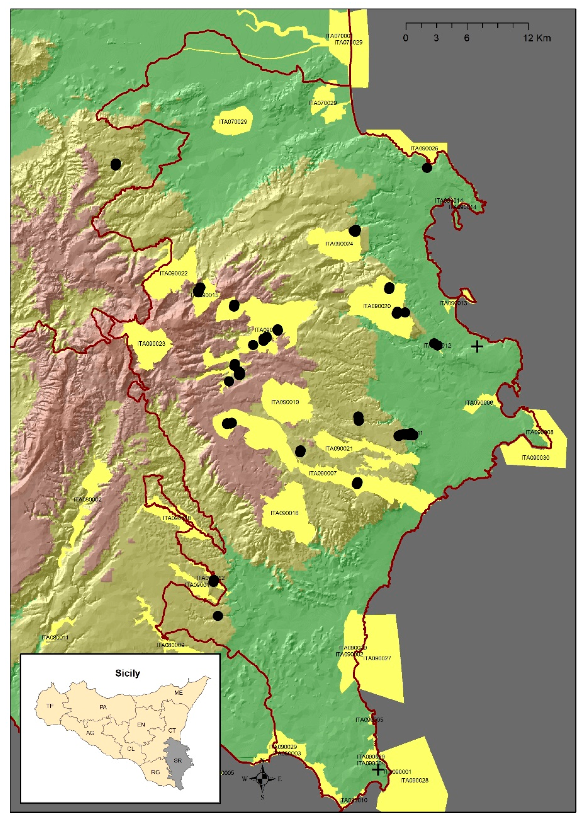 Plants 12 00164 g004
