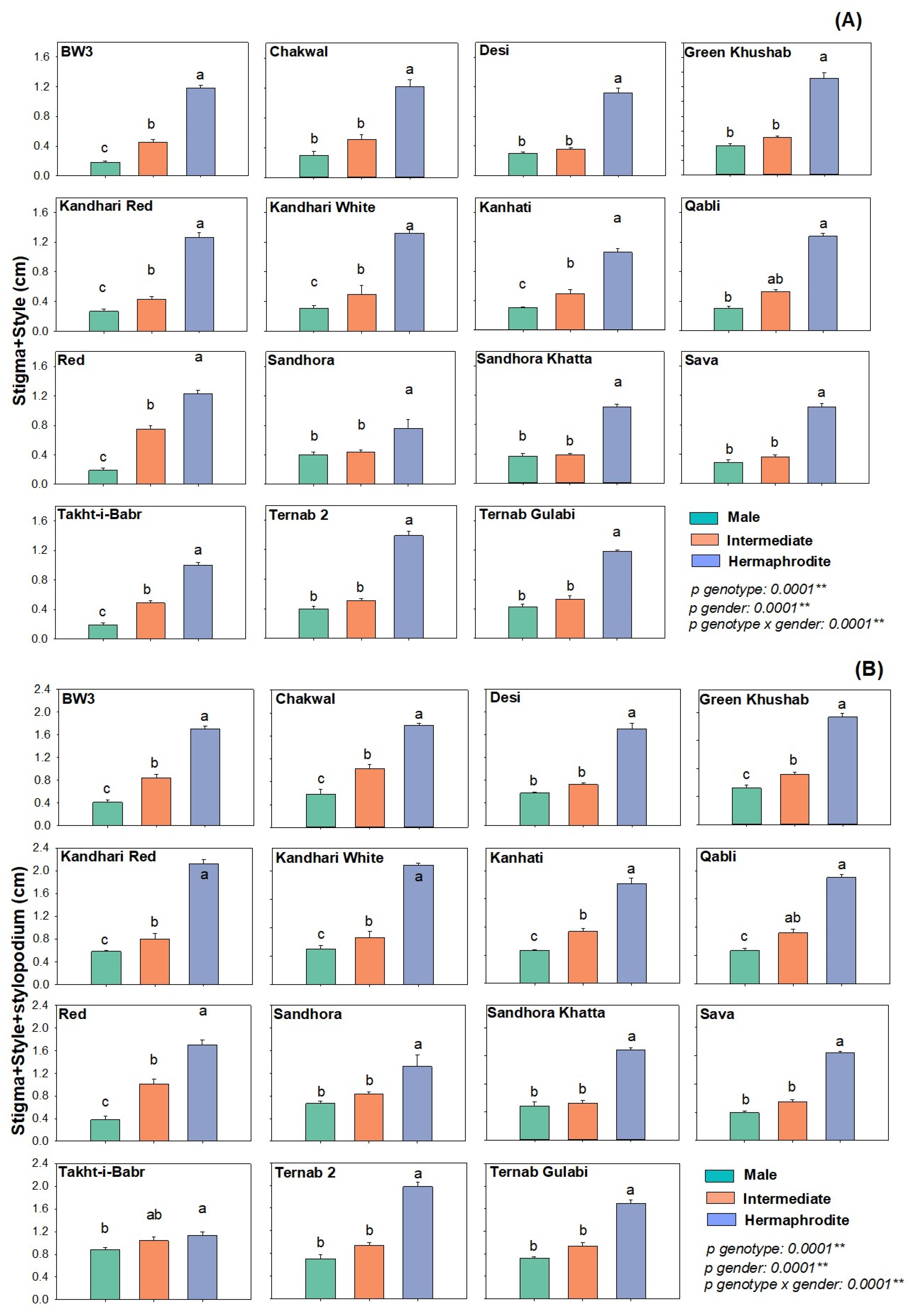 Plants 12 00165 g003