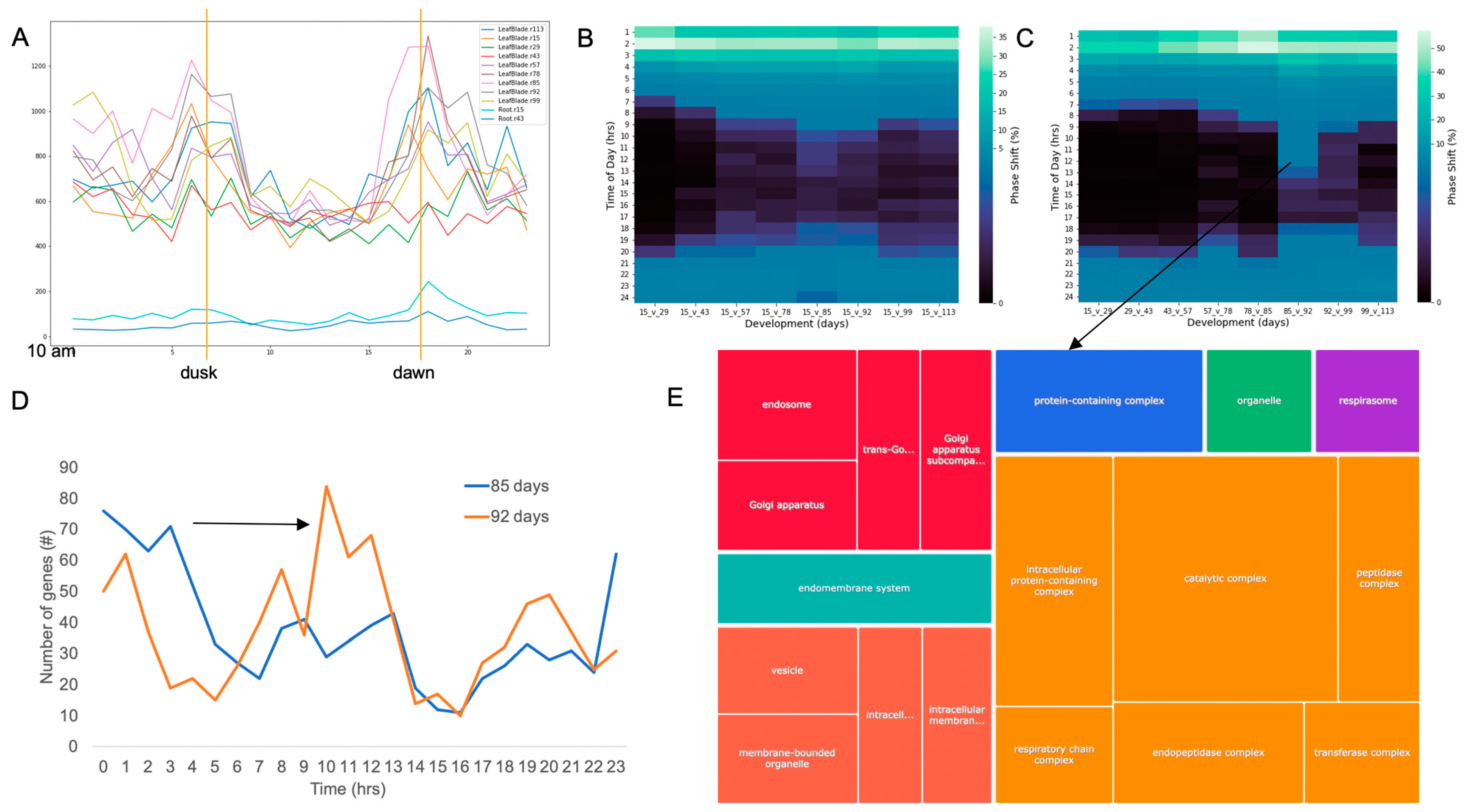Plants 12 00166 g002