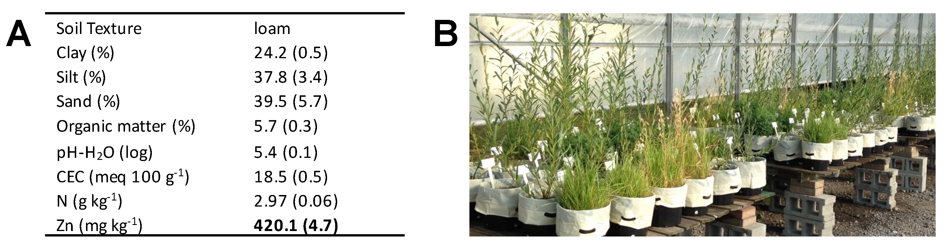 Plants 12 00167 g003 Plants 12 00167 g003