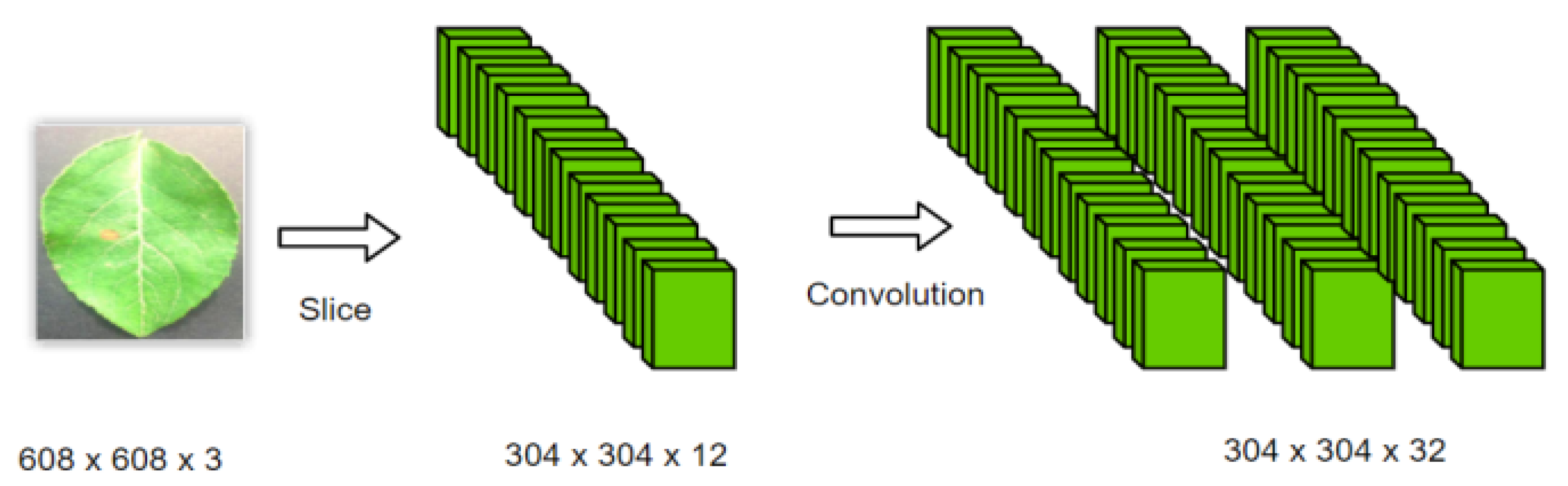 Plants 12 00169 g005 Plants 12 00169 g005