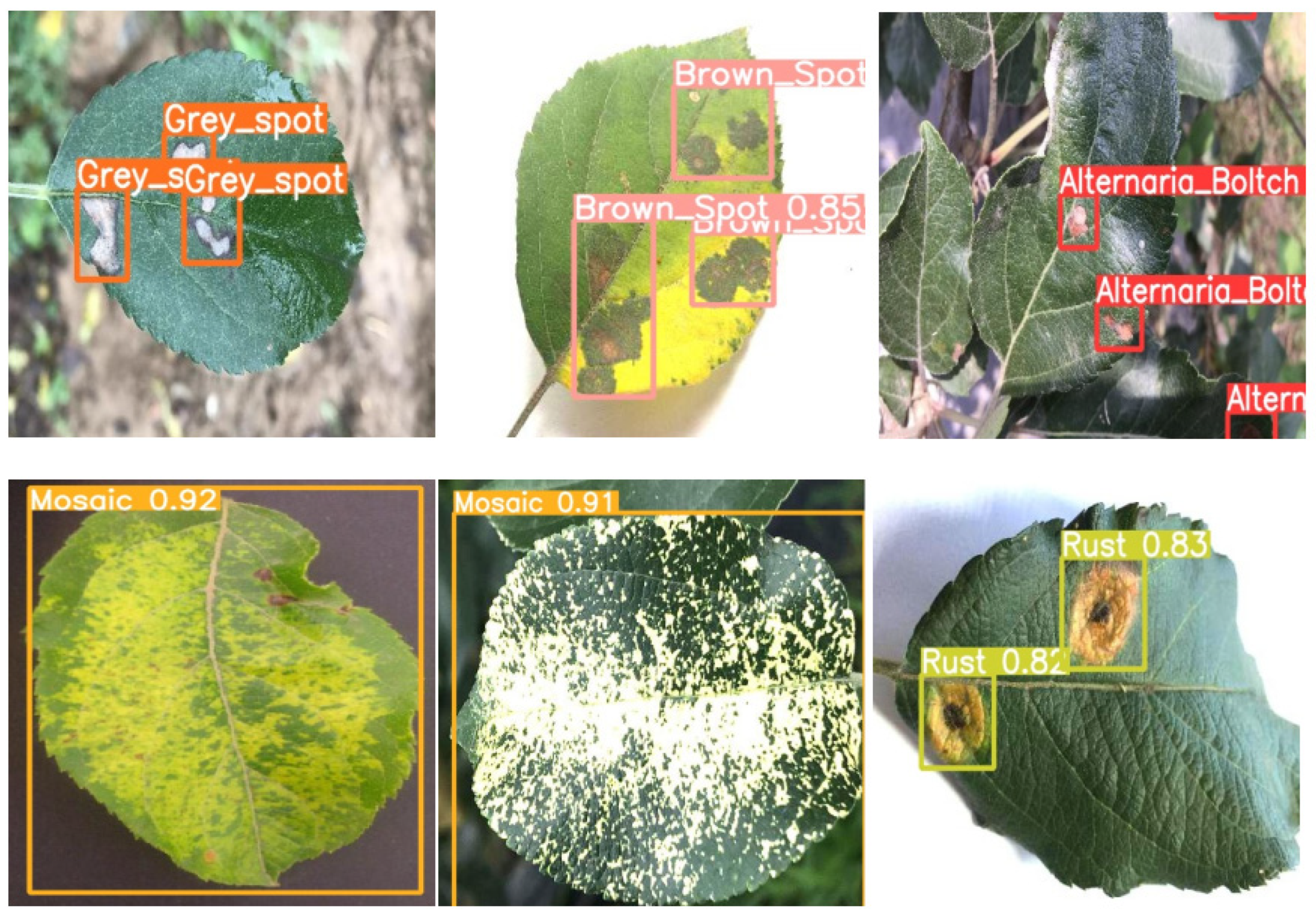 Plants 12 00169 g017 Plants 12 00169 g017