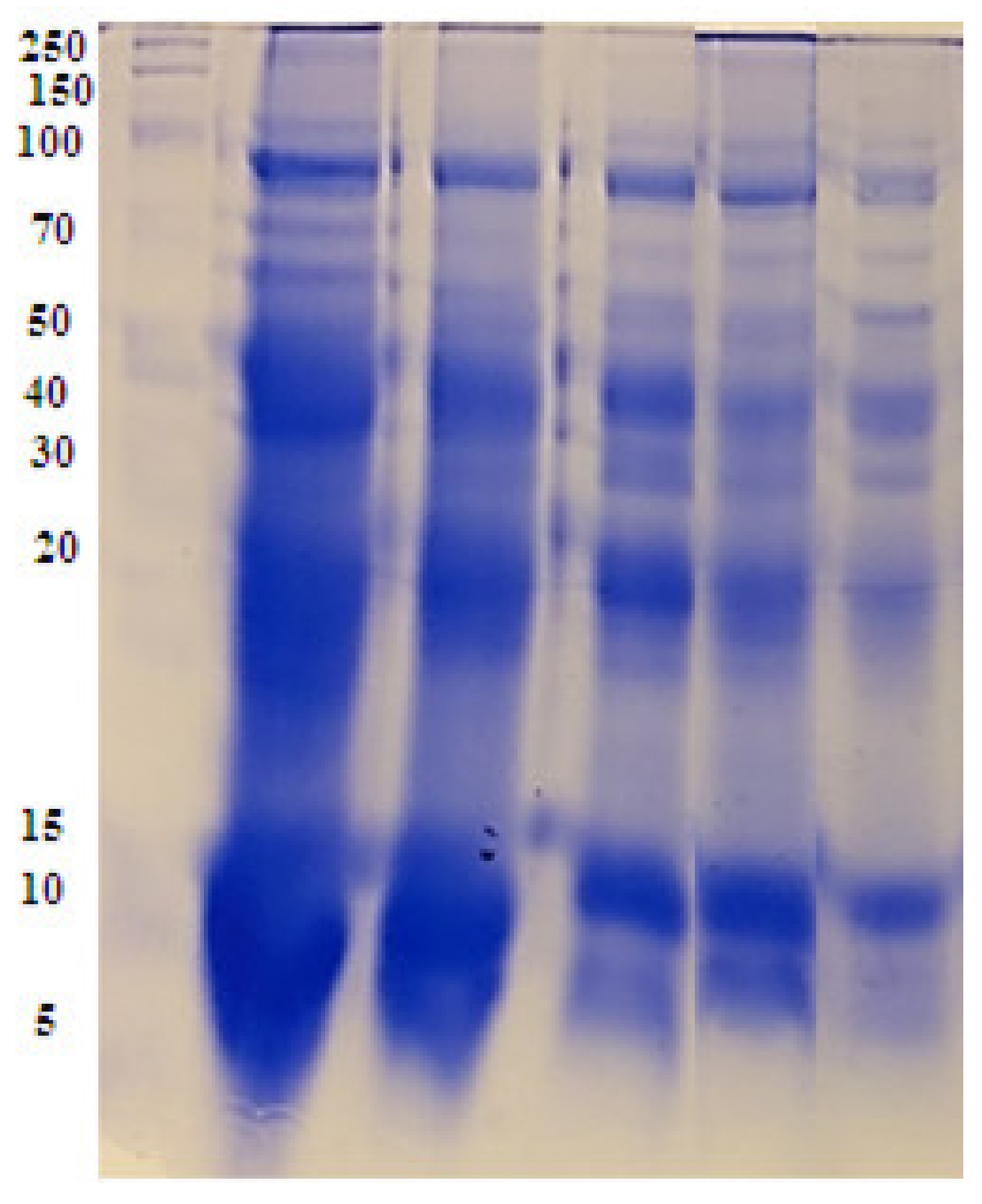 Plants 12 00172 g011 Plants 12 00172 g011