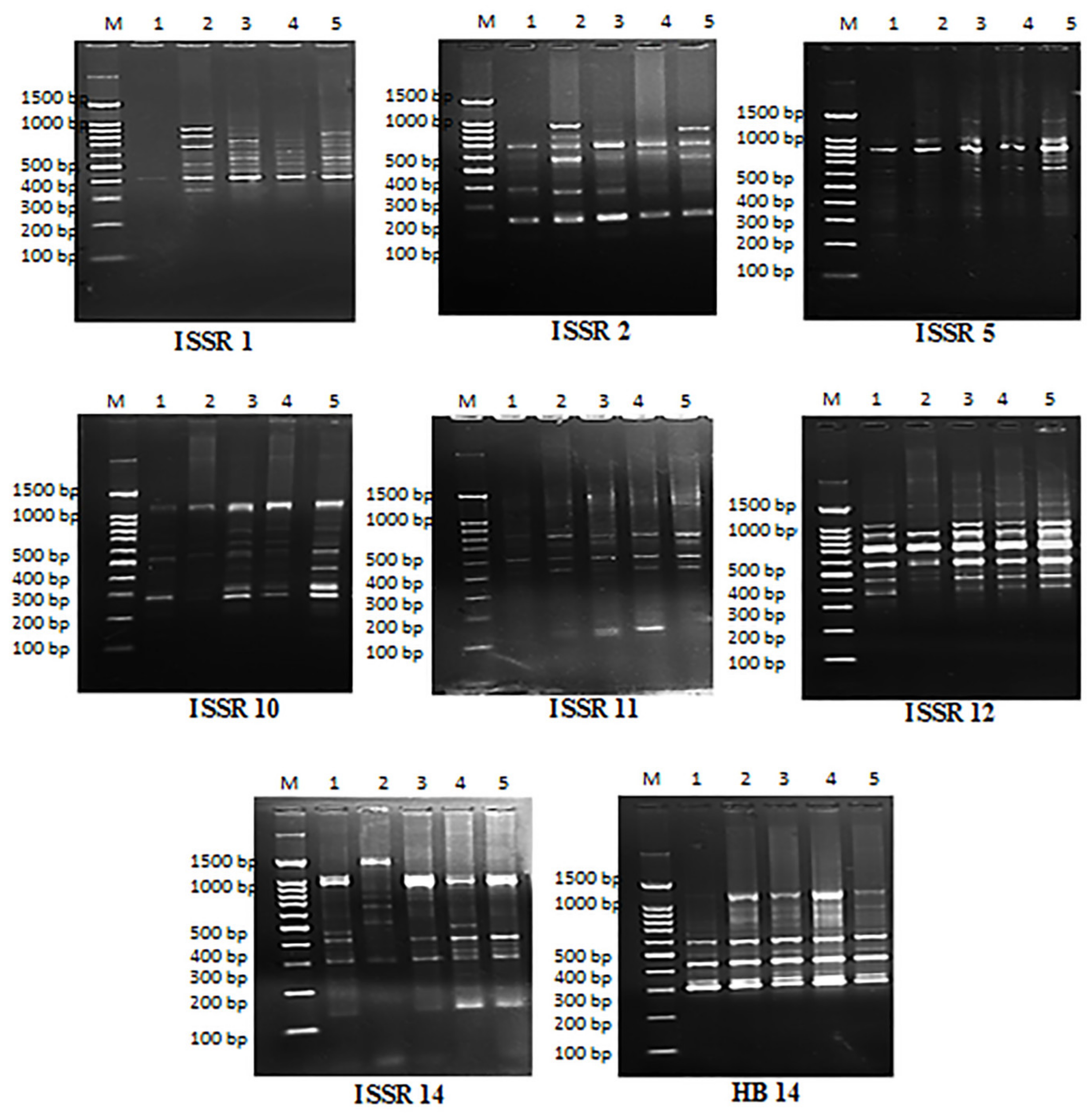 Plants 12 00172 g012 Plants 12 00172 g012