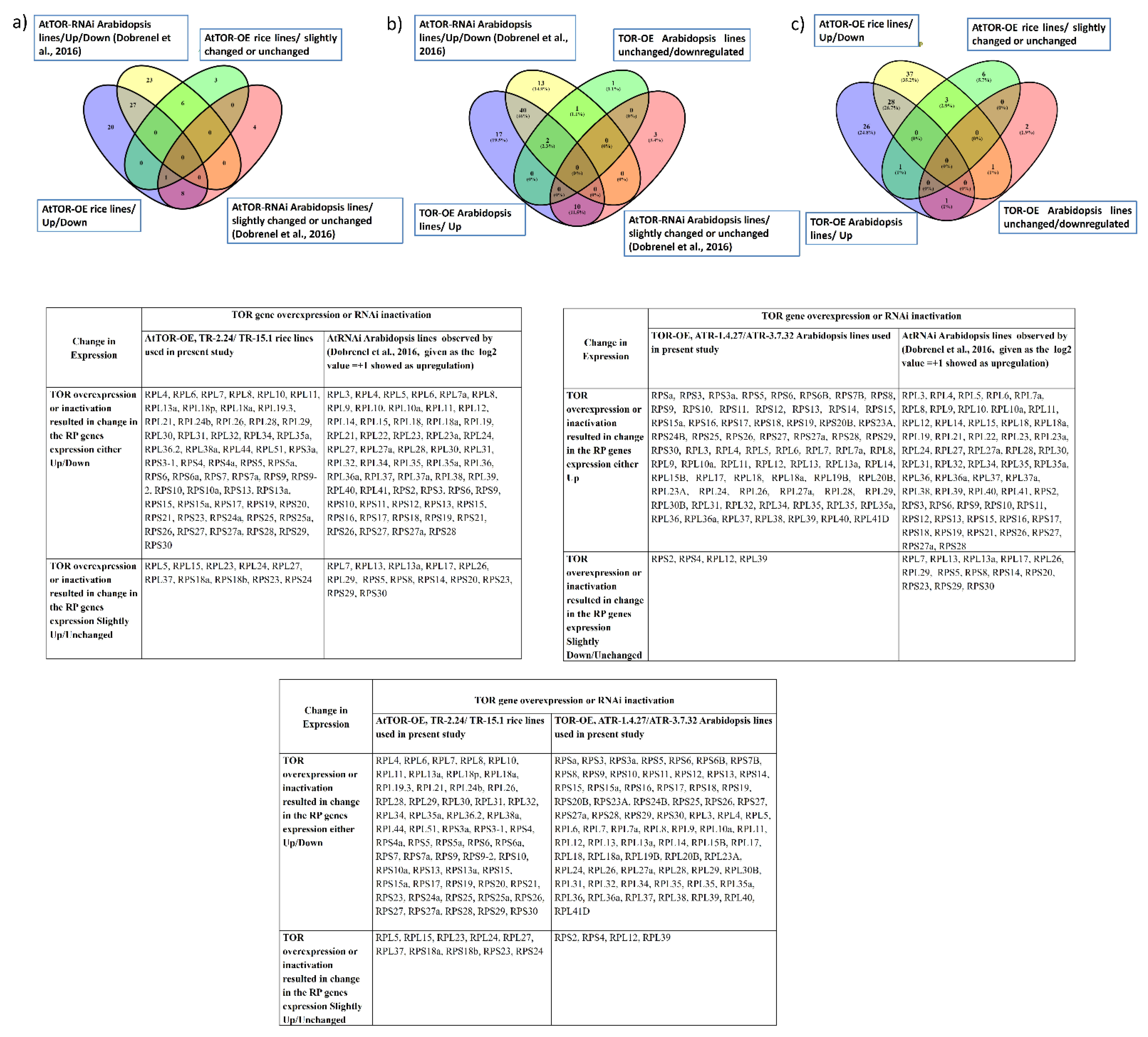 Plants 12 00176 g004 Plants 12 00176 g004