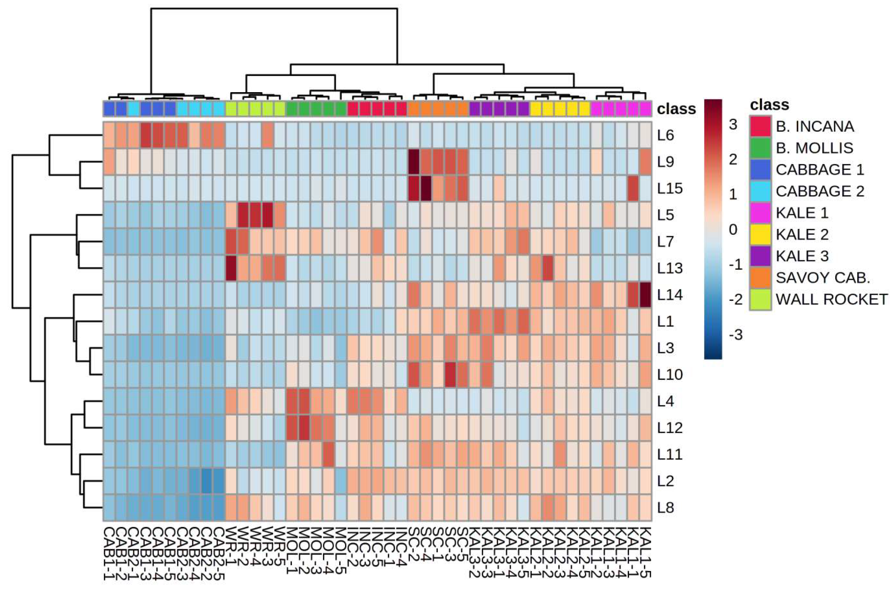 Plants 12 00177 g001 Plants 12 00177 g001