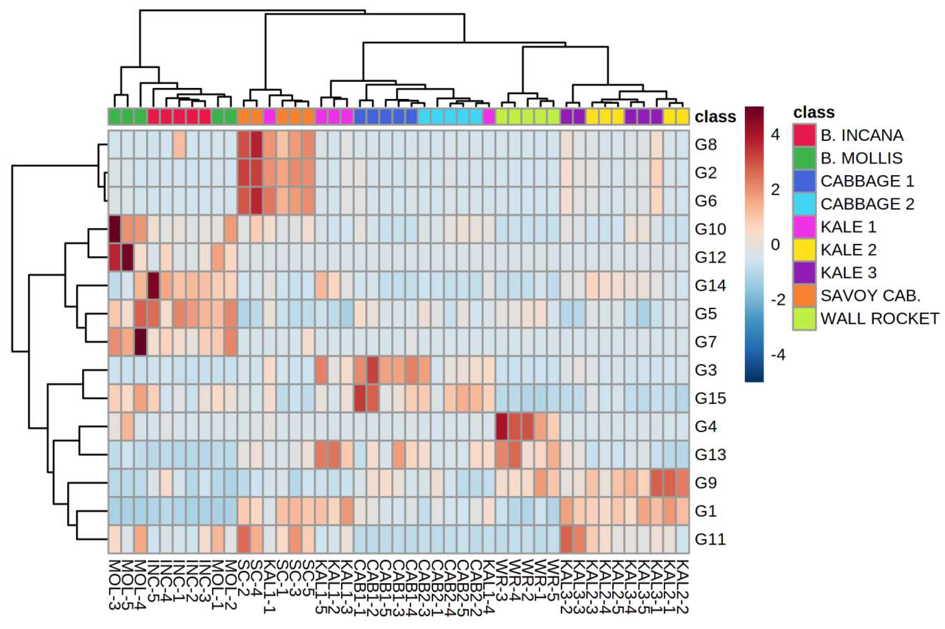 Plants 12 00177 g003 Plants 12 00177 g003