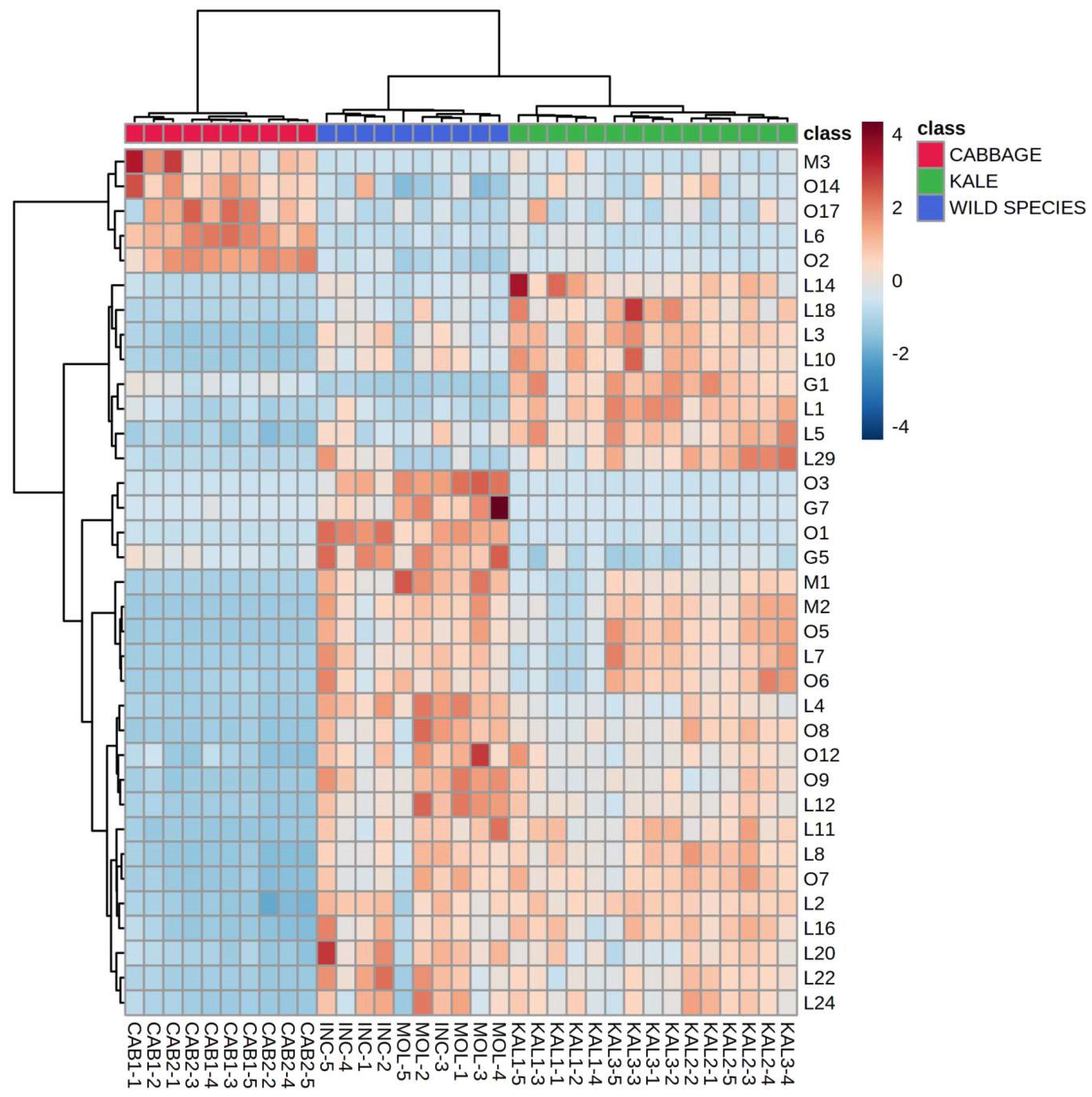Plants 12 00177 g005 Plants 12 00177 g005