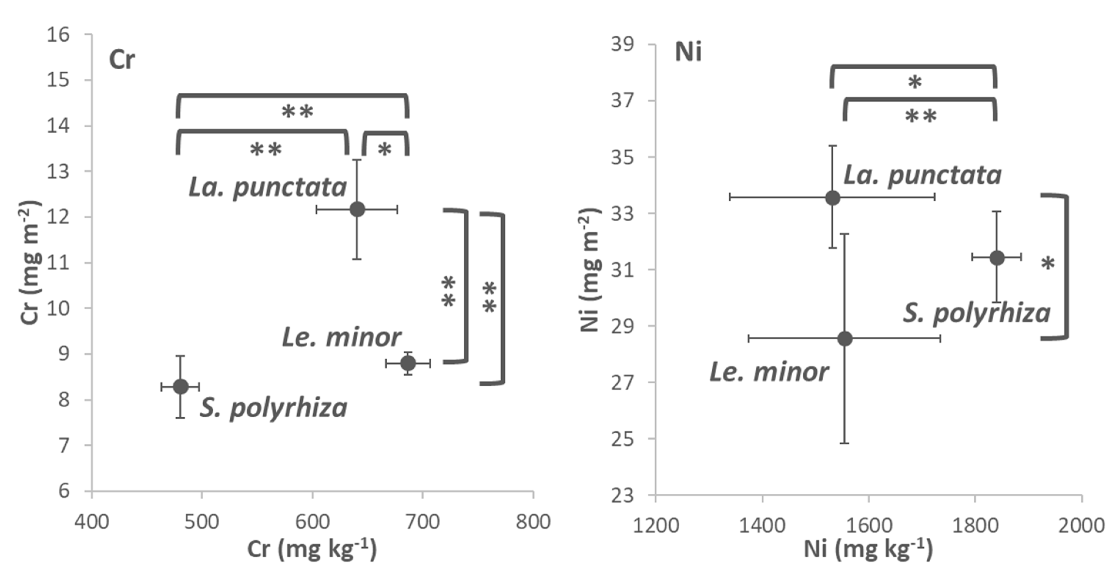 Plants 12 00180 g005 Plants 12 00180 g005