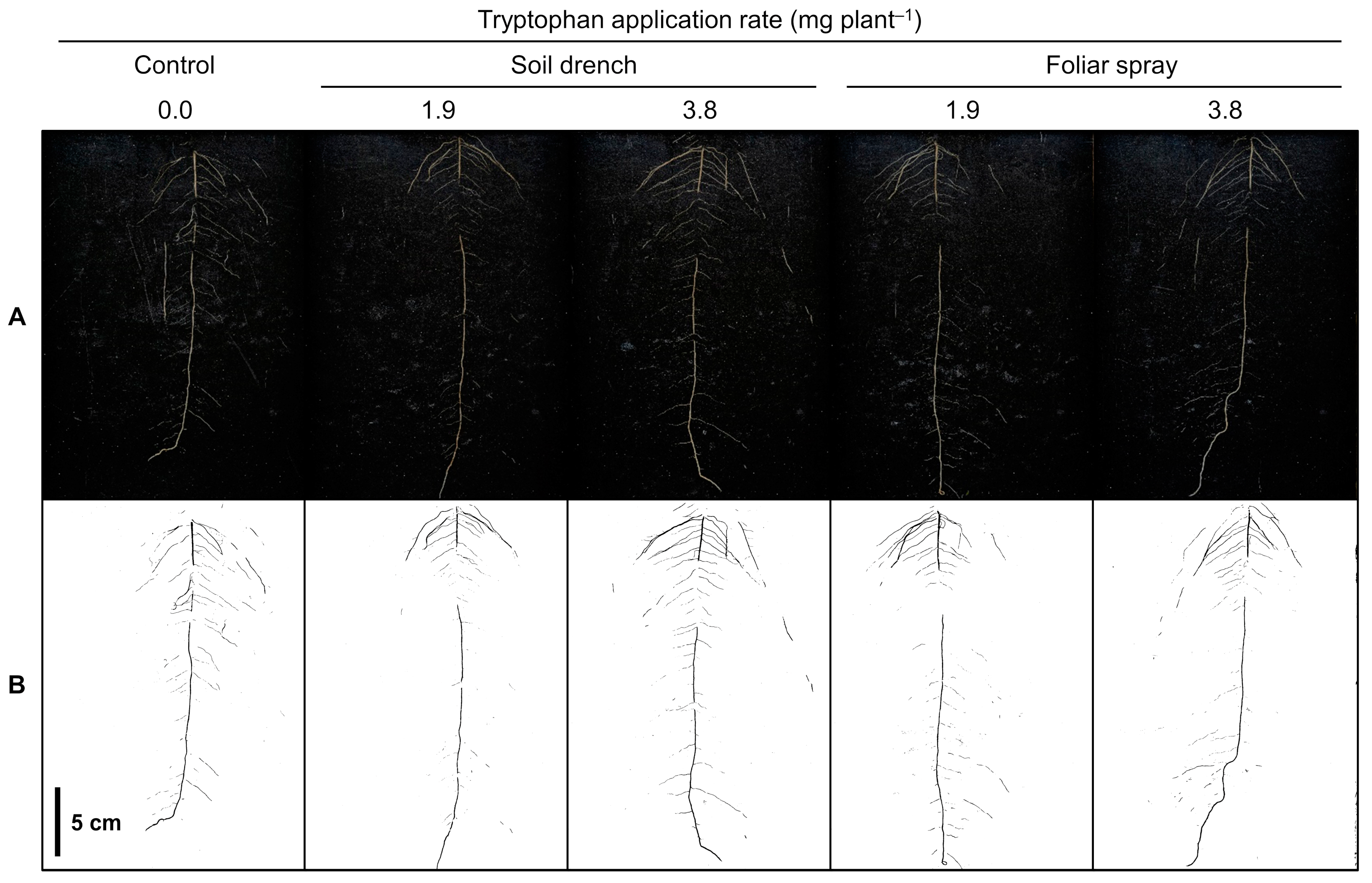 Plants 12 00186 g002 Plants 12 00186 g002