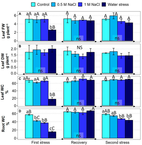 Effect of Recurrent Salt and Drought Stress Treatments on the ...