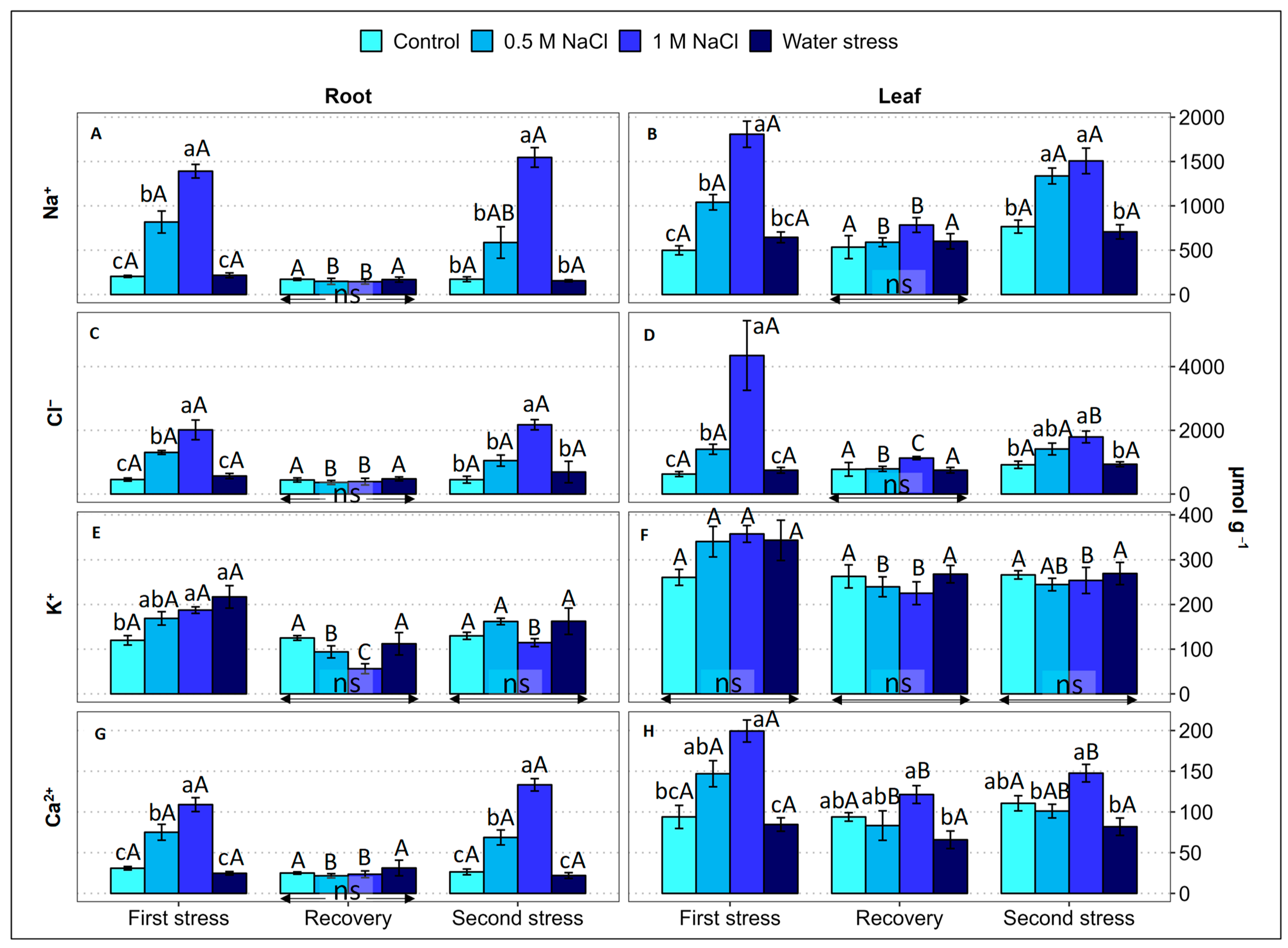 Plants 12 00191 g004 Plants 12 00191 g004