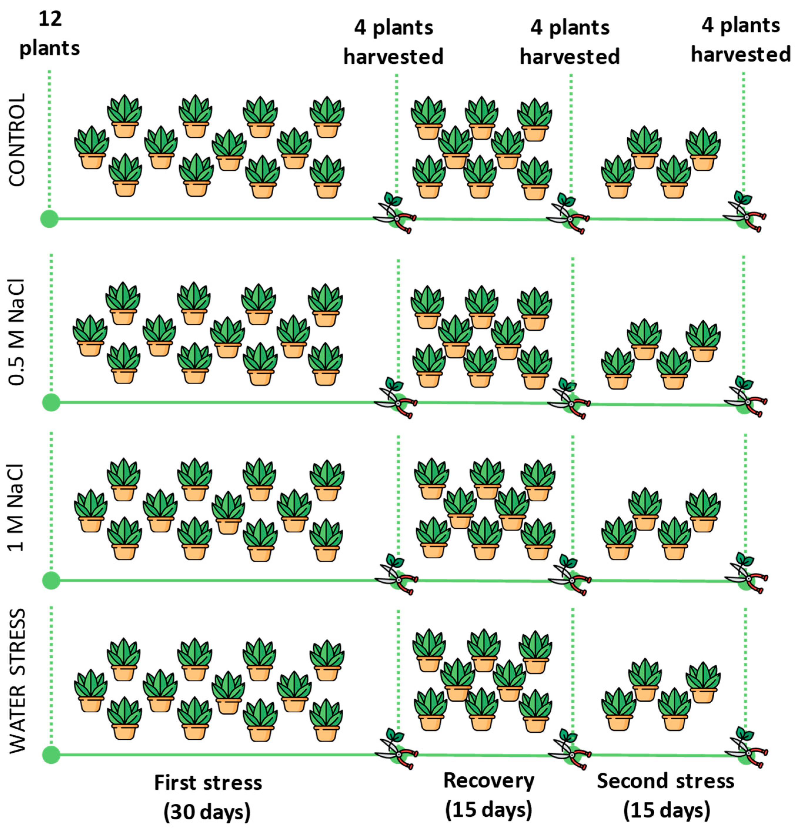 Plants 12 00191 g009 Plants 12 00191 g009