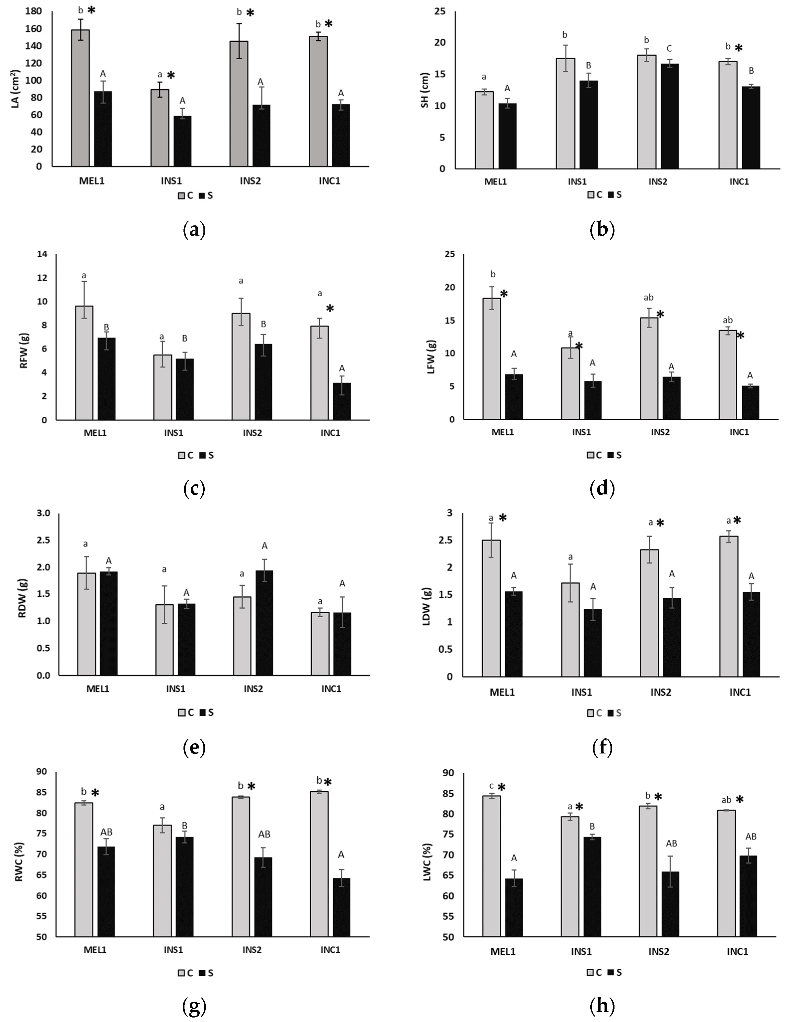 Plants 12 00194 g002