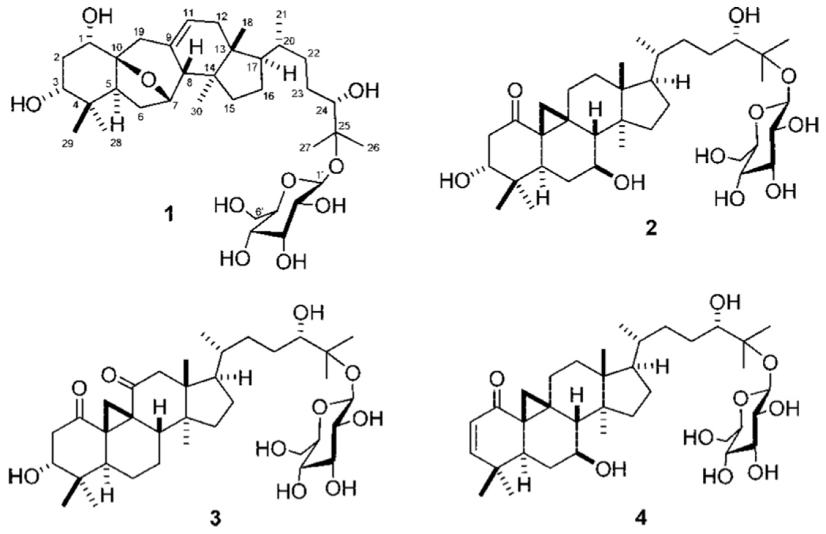 Plants 12 00196 g005 Plants 12 00196 g005