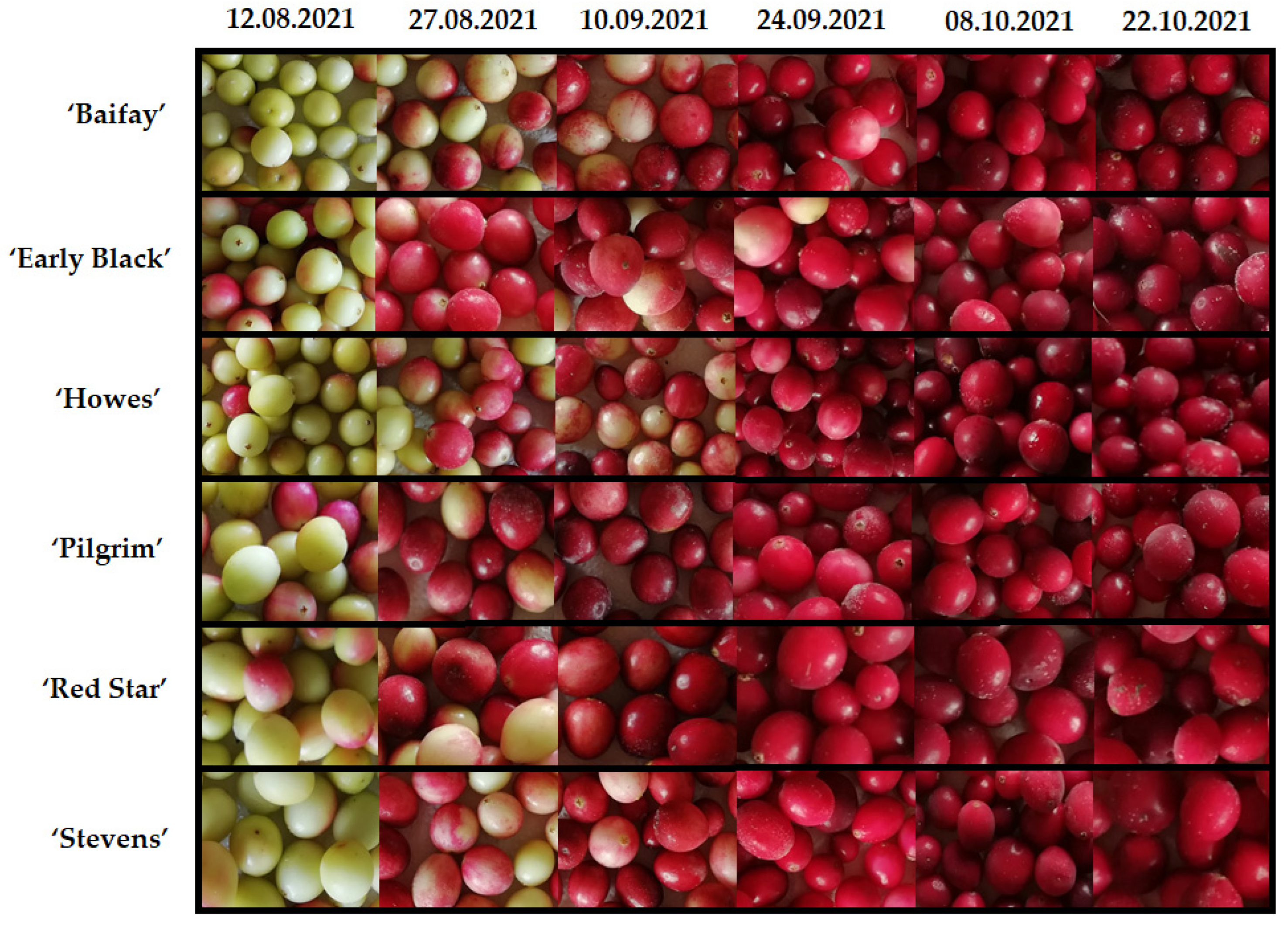 Plants 12 00202 g002 Plants 12 00202 g002